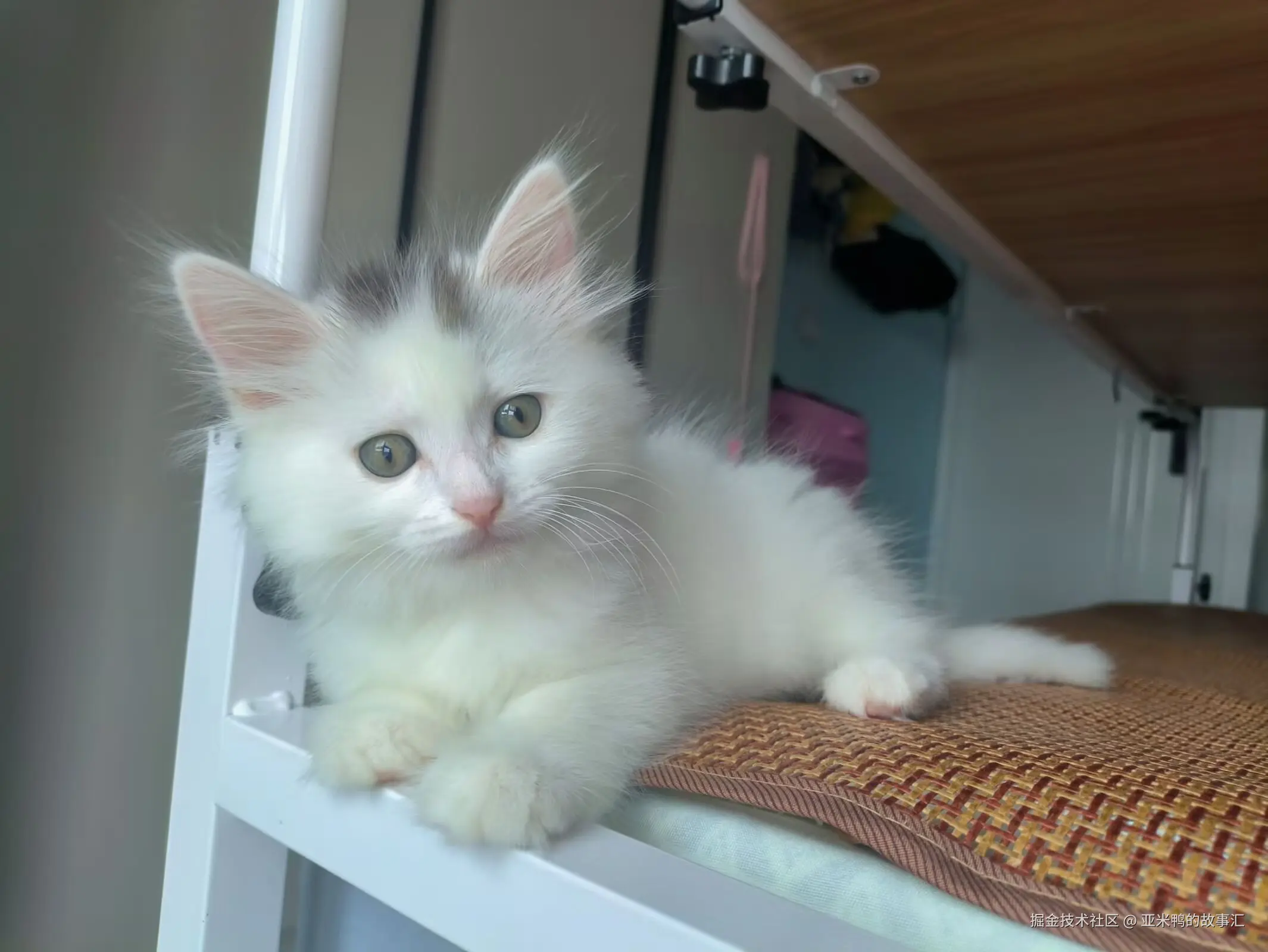 亚米鸭的故事汇于2025-06-19 03:05发布的图片