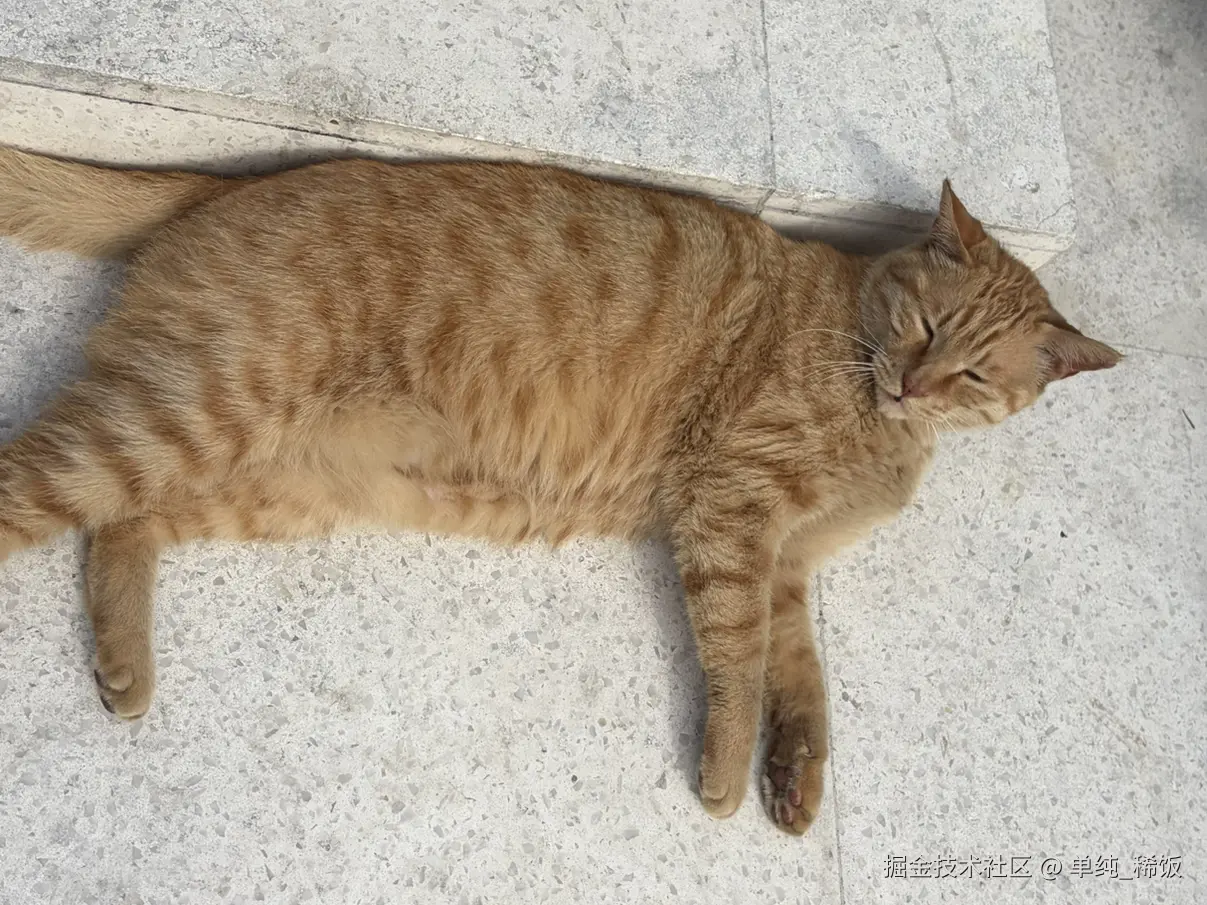 单纯_稀饭于2026-04-11 10:19发布的图片