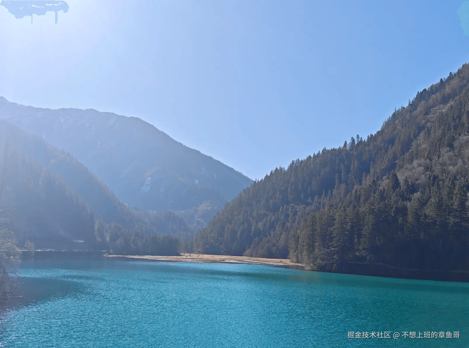 不想上班的章鱼哥于2025-12-09 17:55发布的图片