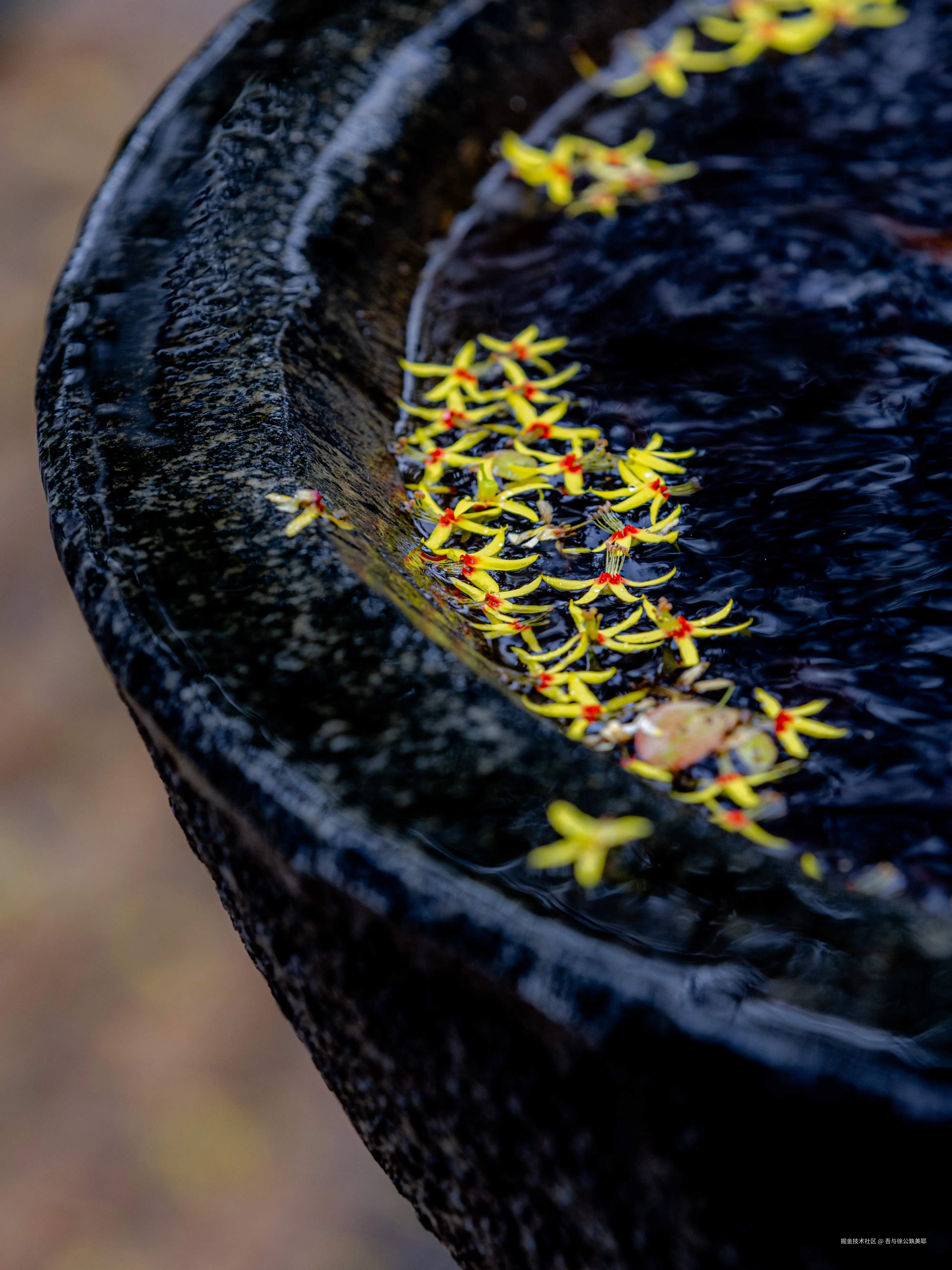 吾与徐公孰美耶于2024-09-20 10:12发布的图片