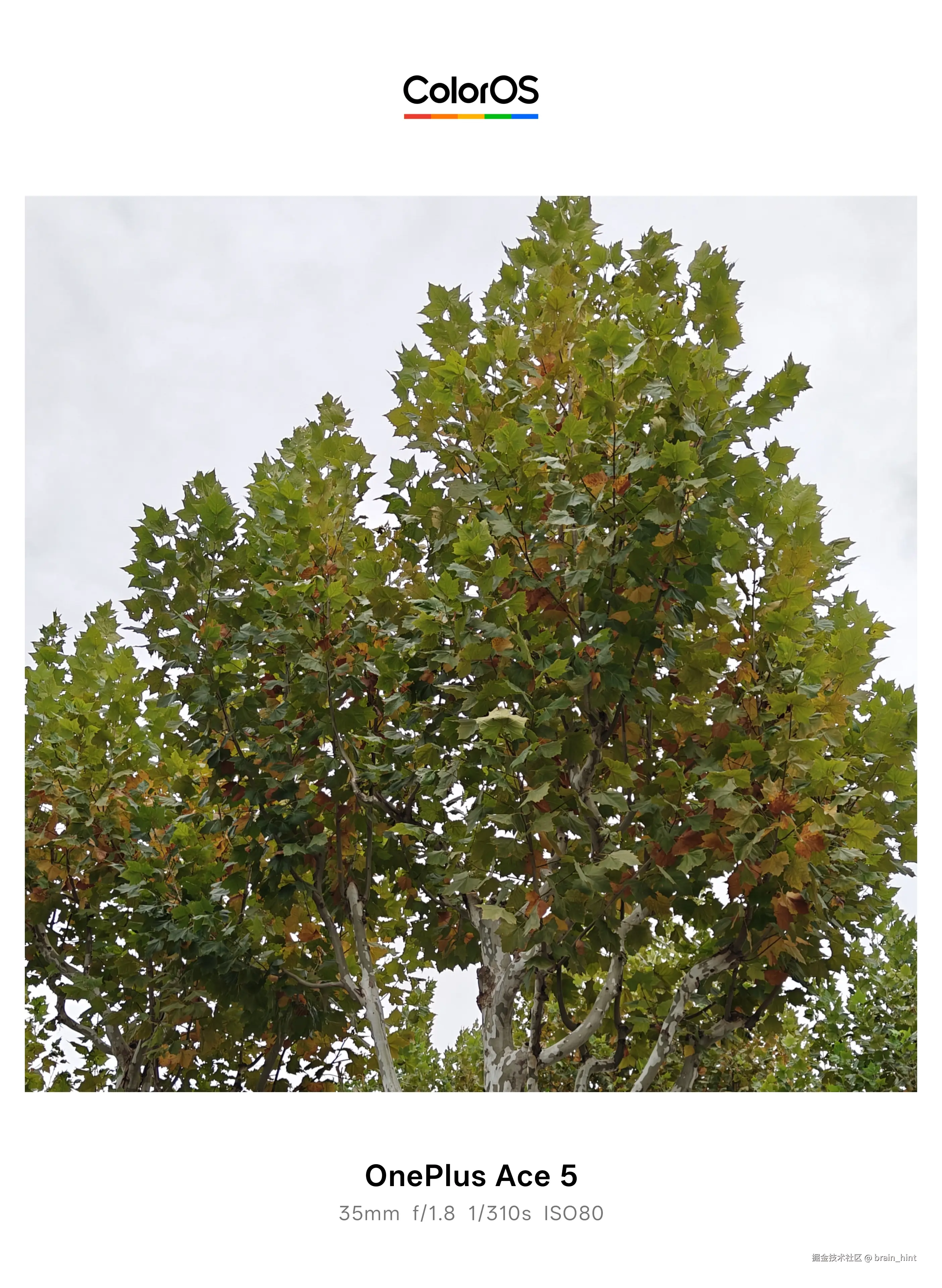 brain_hint于2025-11-12 13:53发布的图片