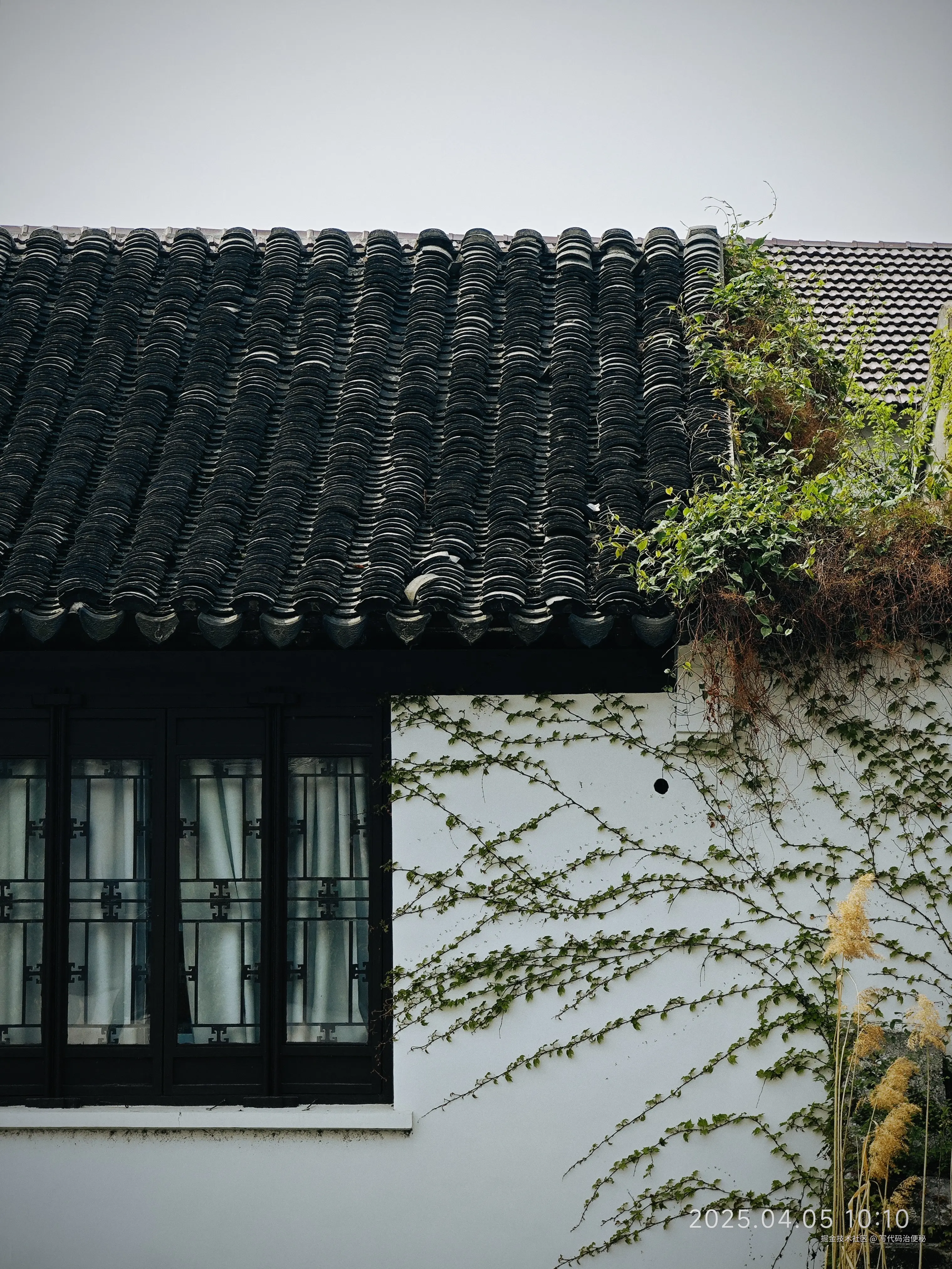 写代码治便秘于2025-04-07 10:16发布的图片