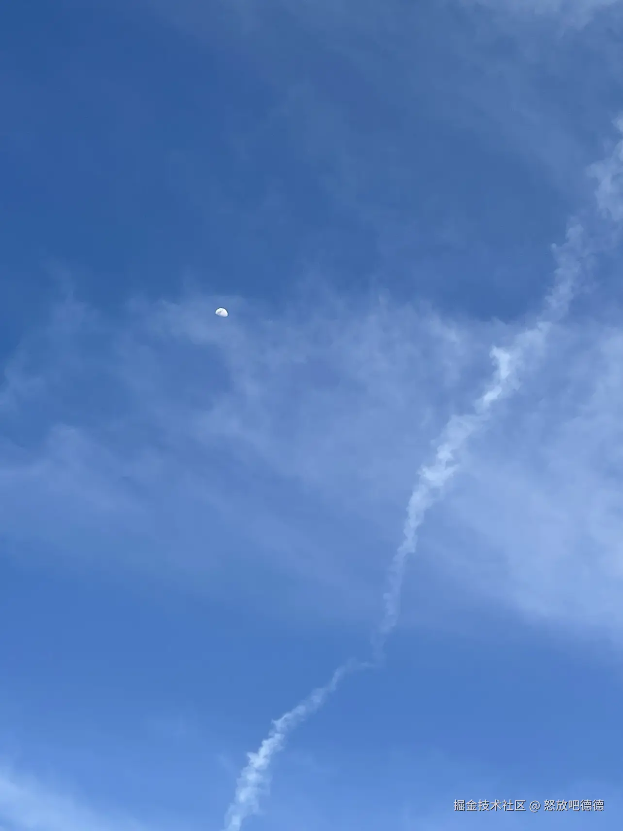 怒放吧德德于2025-03-20 23:30发布的图片