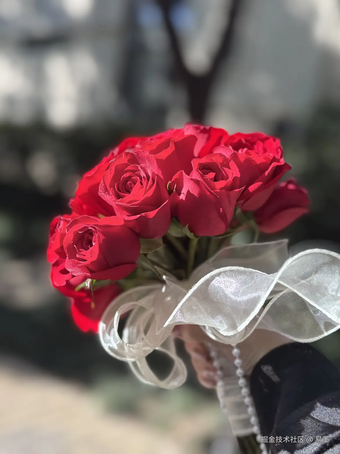 易墨于2025-01-10 13:07发布的图片