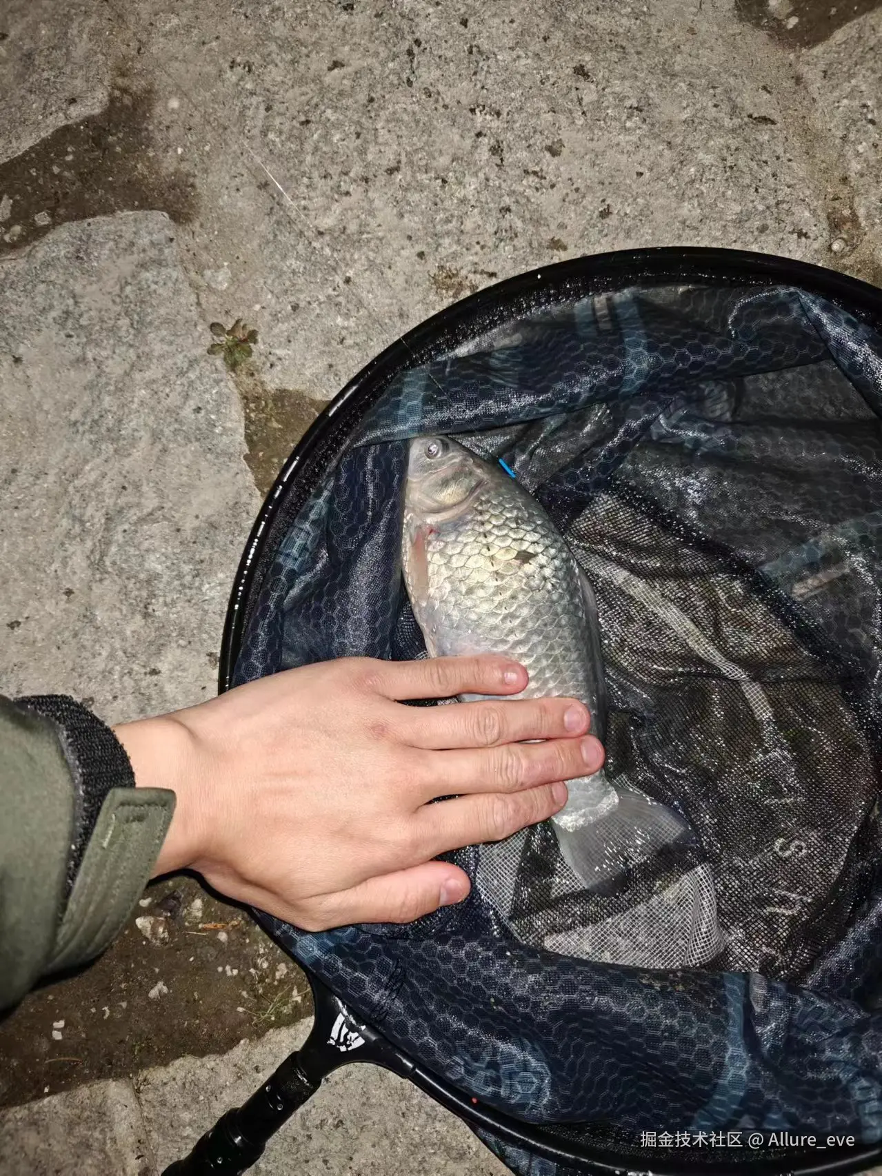 Allure_eve于2024-12-02 09:41发布的图片