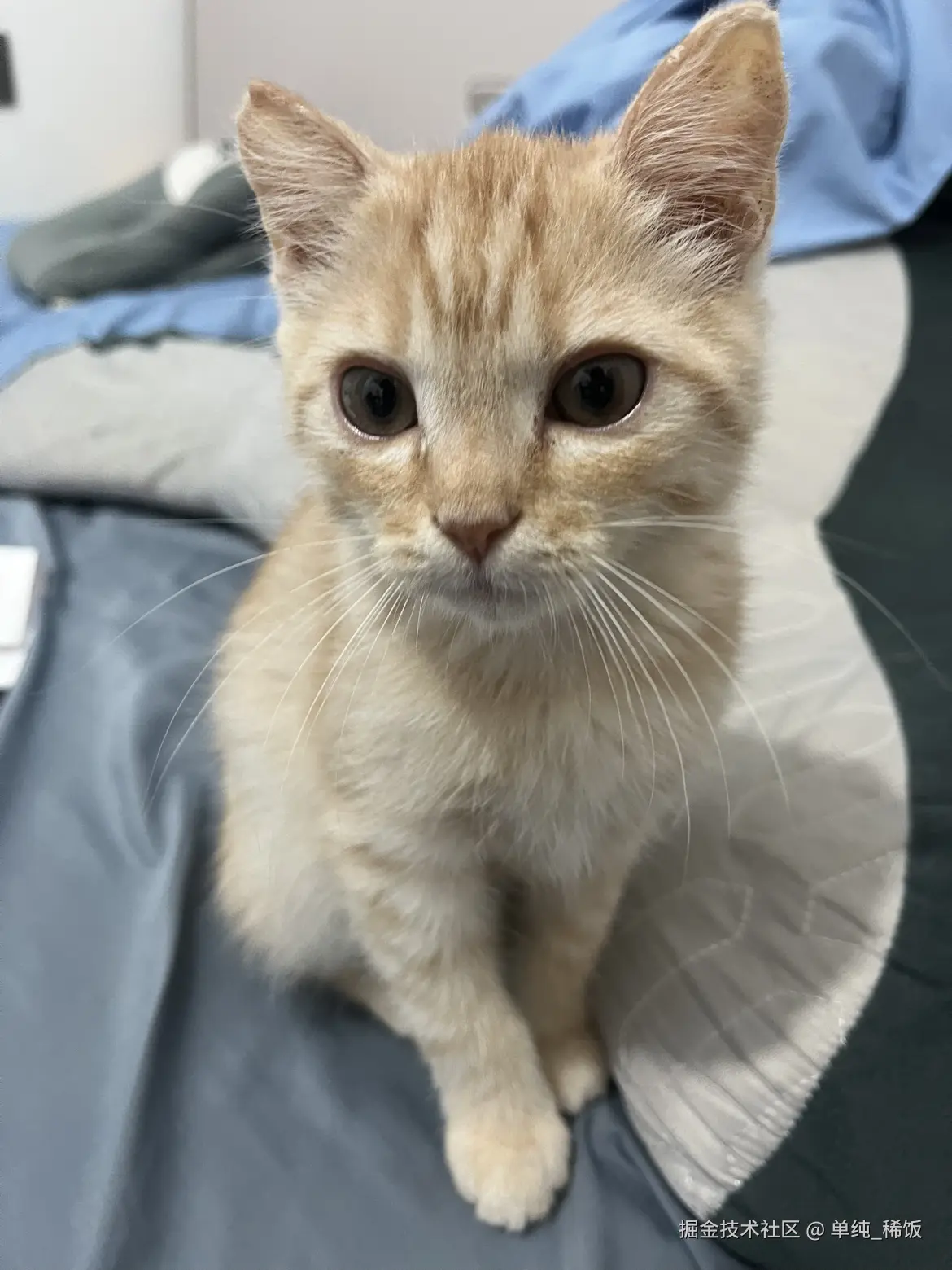 单纯_稀饭于2025-04-10 13:26发布的图片