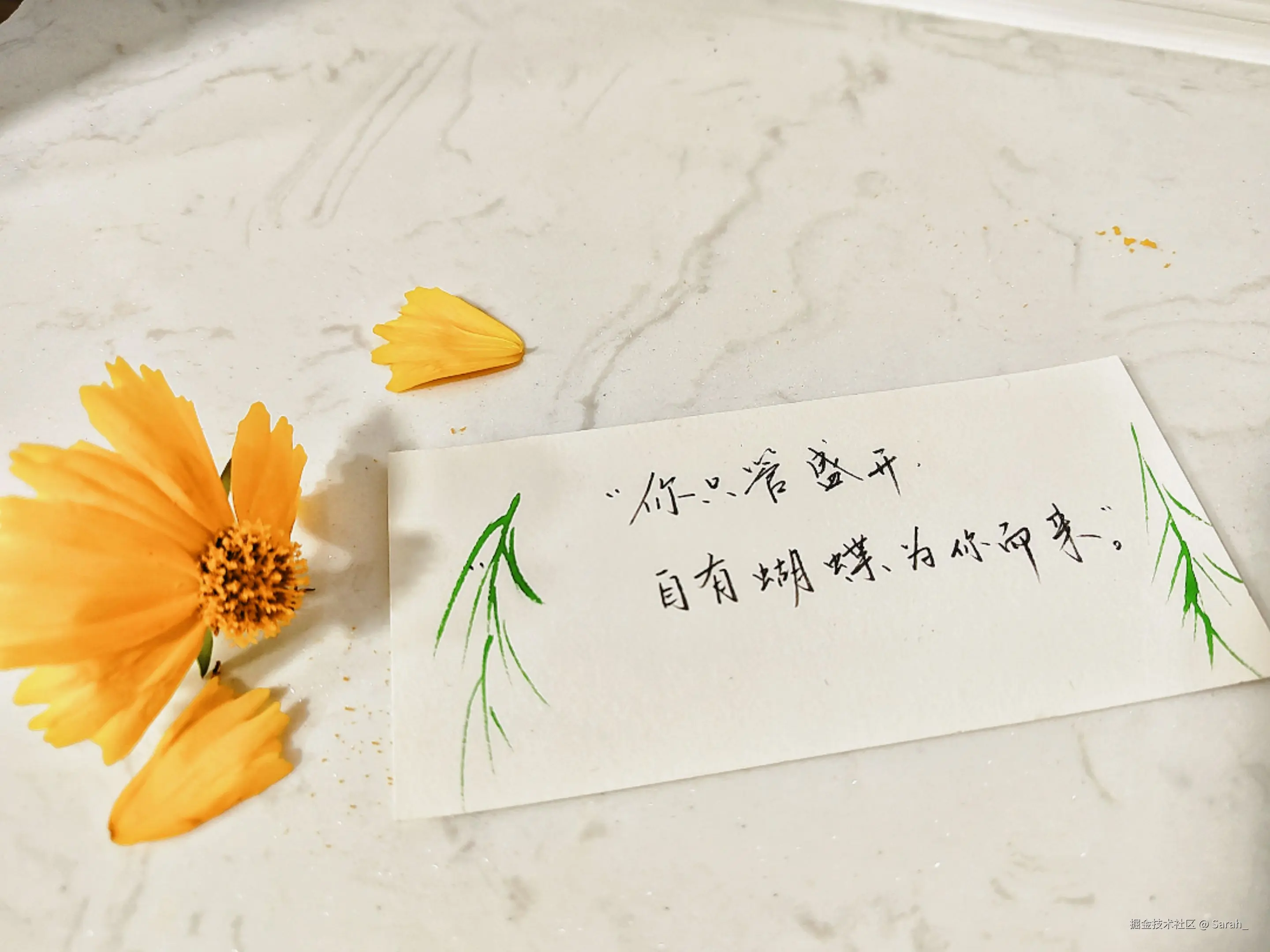 Sarah_于2025-05-28 08:33发布的图片