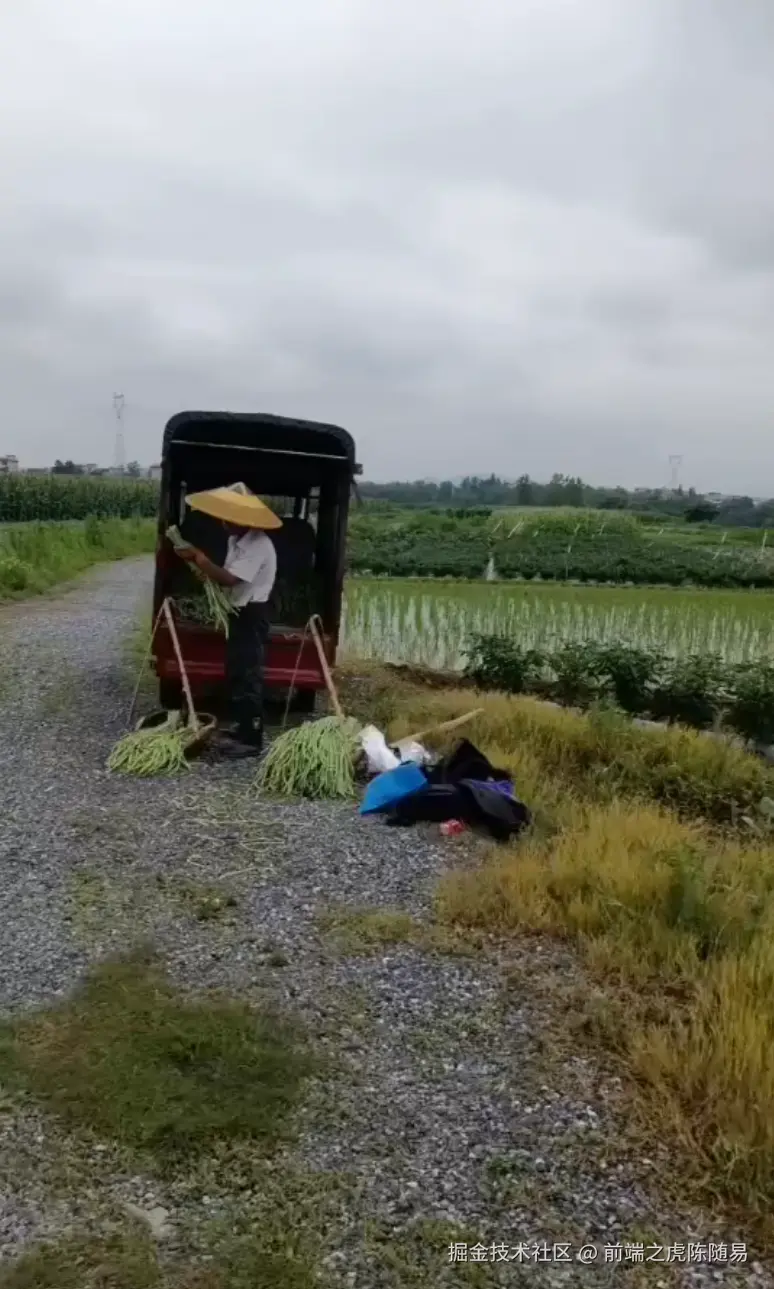 前端之虎陈随易于2025-06-17 09:41发布的图片