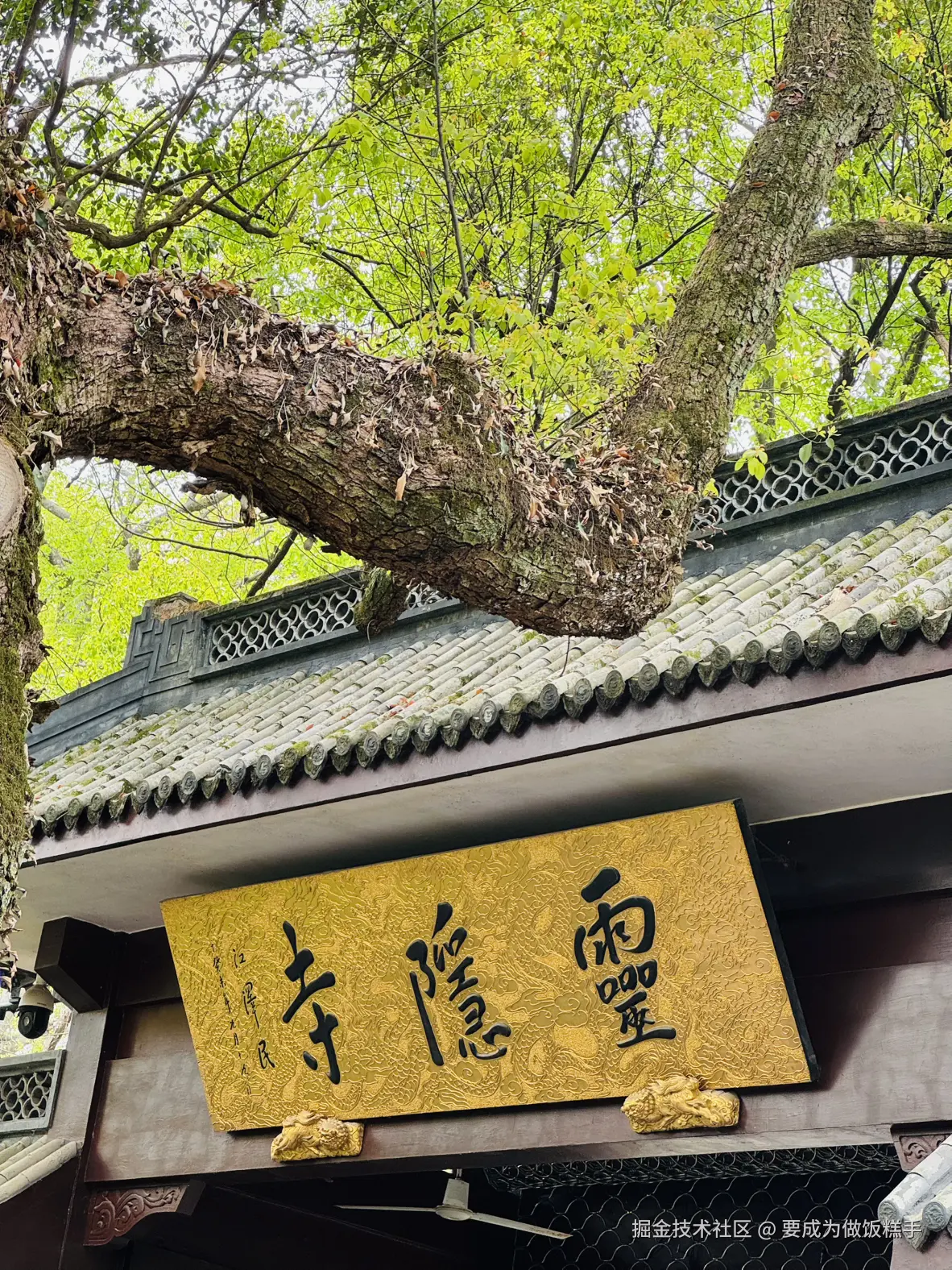 要成为做饭糕手于2025-04-07 11:34发布的图片