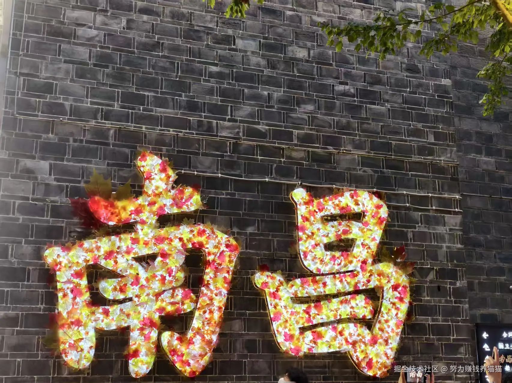 努力赚钱养猫猫于2025-10-23 11:17发布的图片