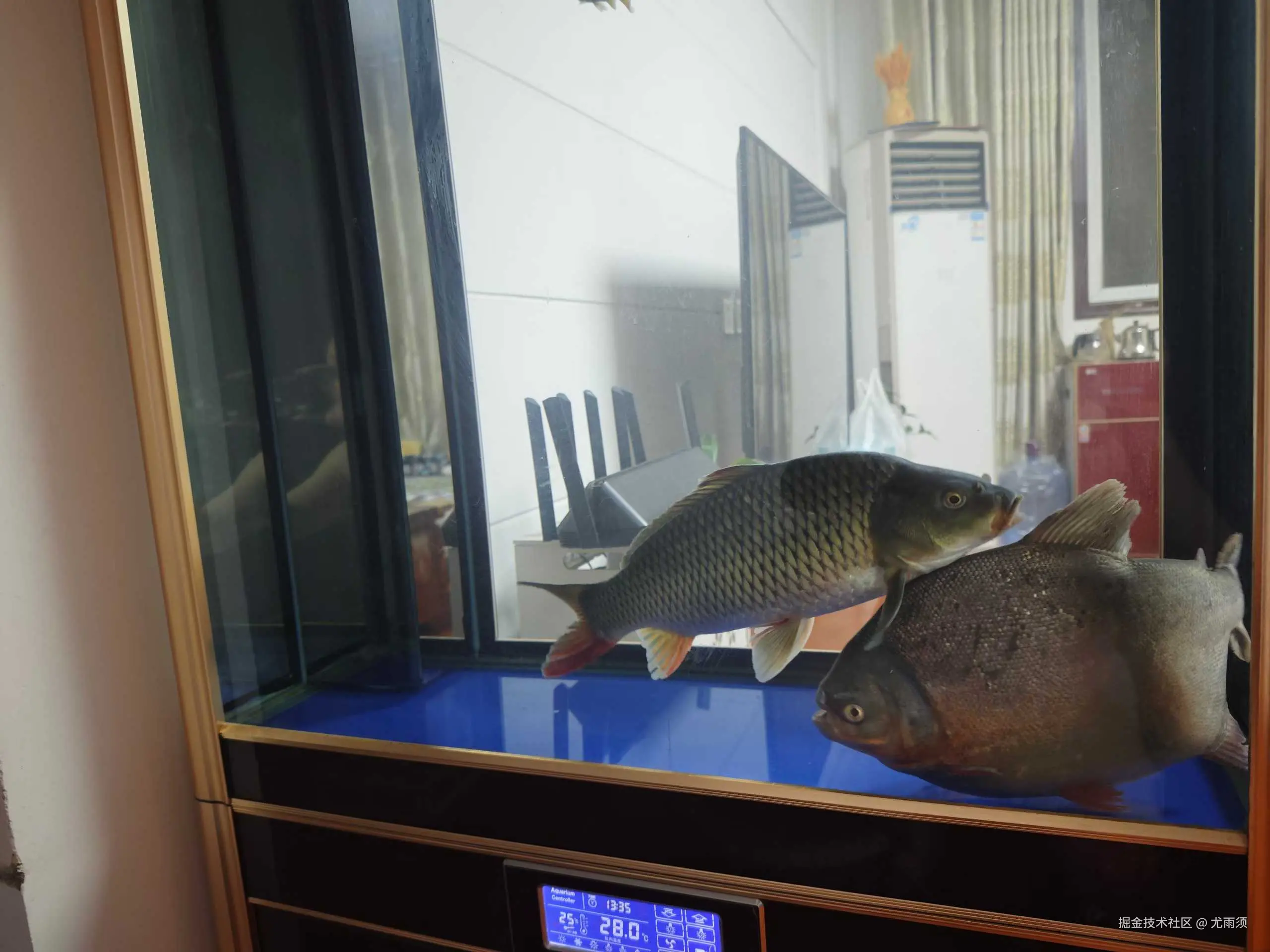 尤雨须于2025-08-11 08:52发布的图片