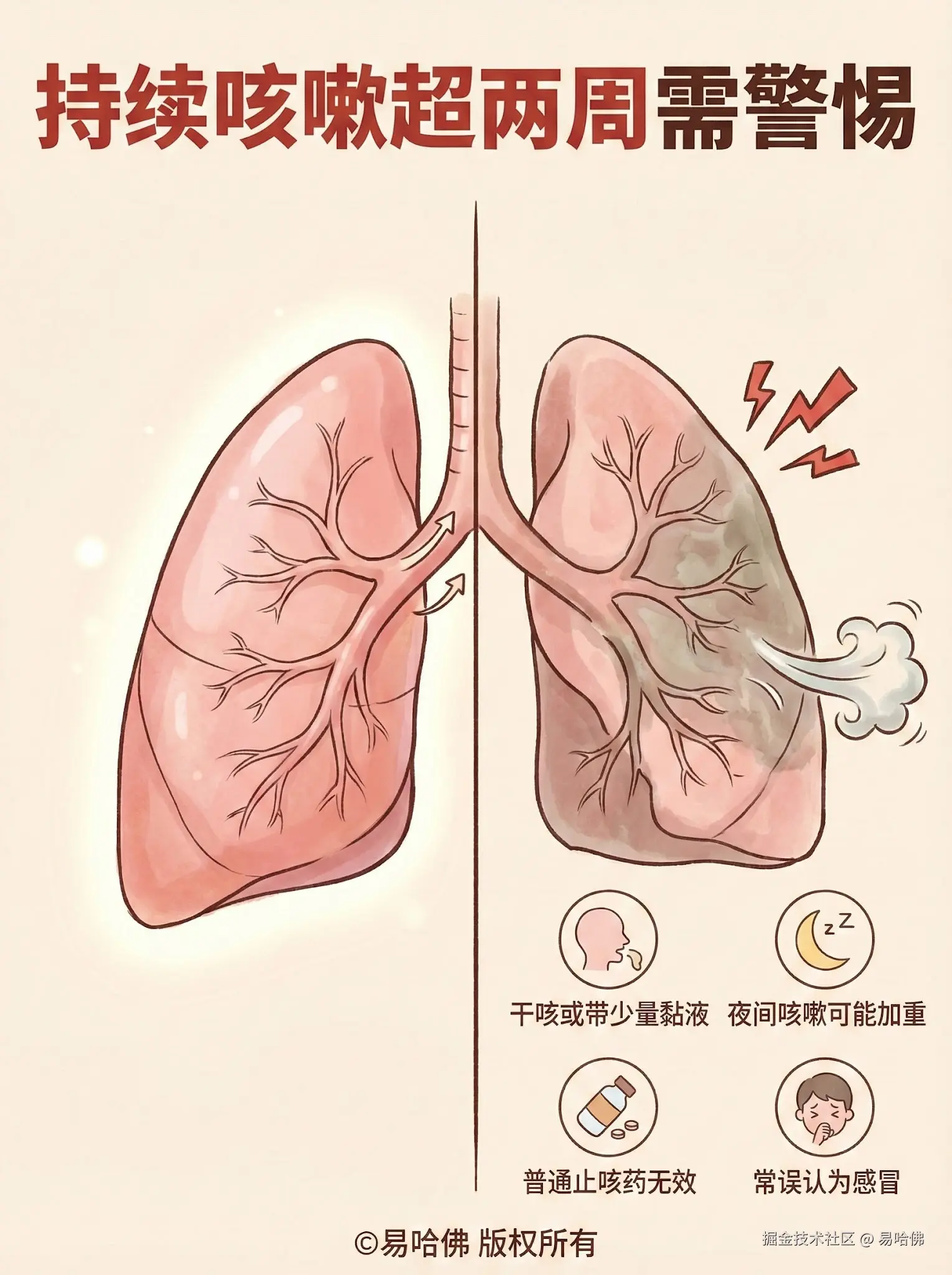 易哈佛于2026-01-04 16:22发布的图片