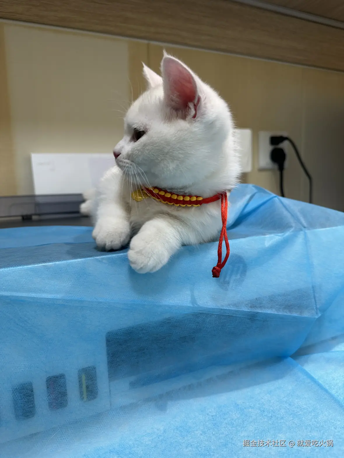 就爱吃火锅于2025-04-07 09:11发布的图片