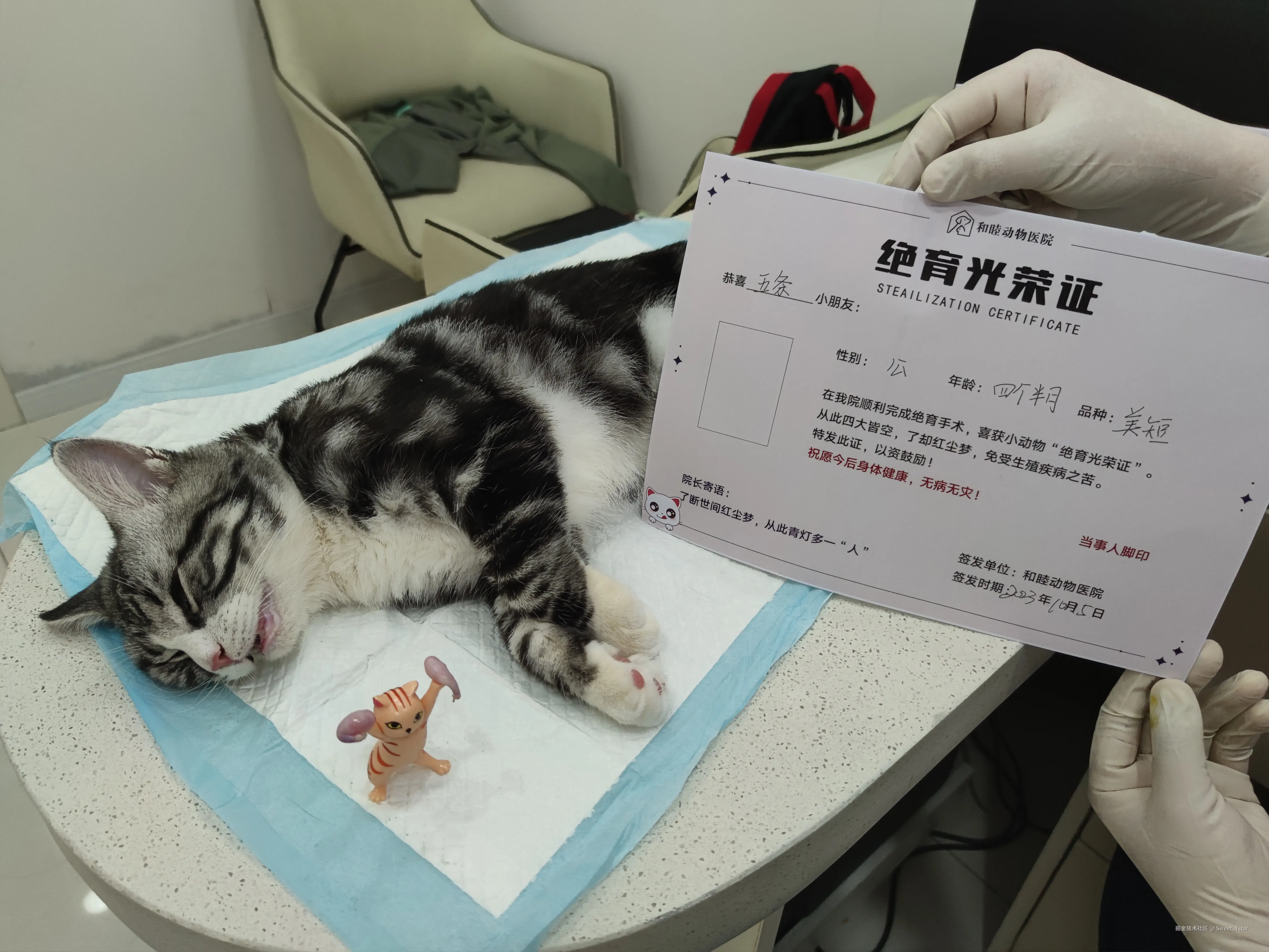 Sweet_Ystar于2026-02-13 15:57发布的图片