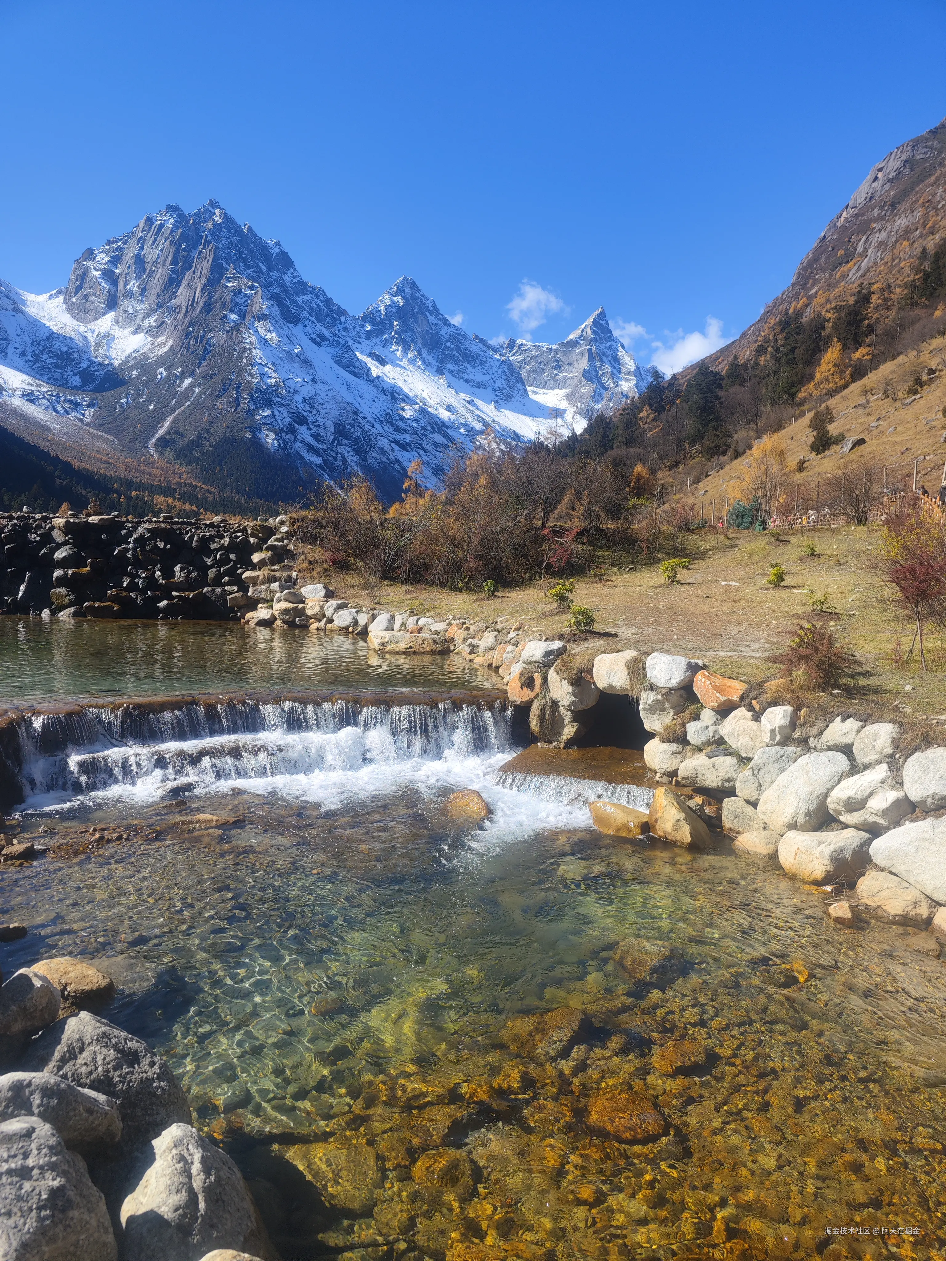 阿天在掘金于2024-11-06 15:00发布的图片