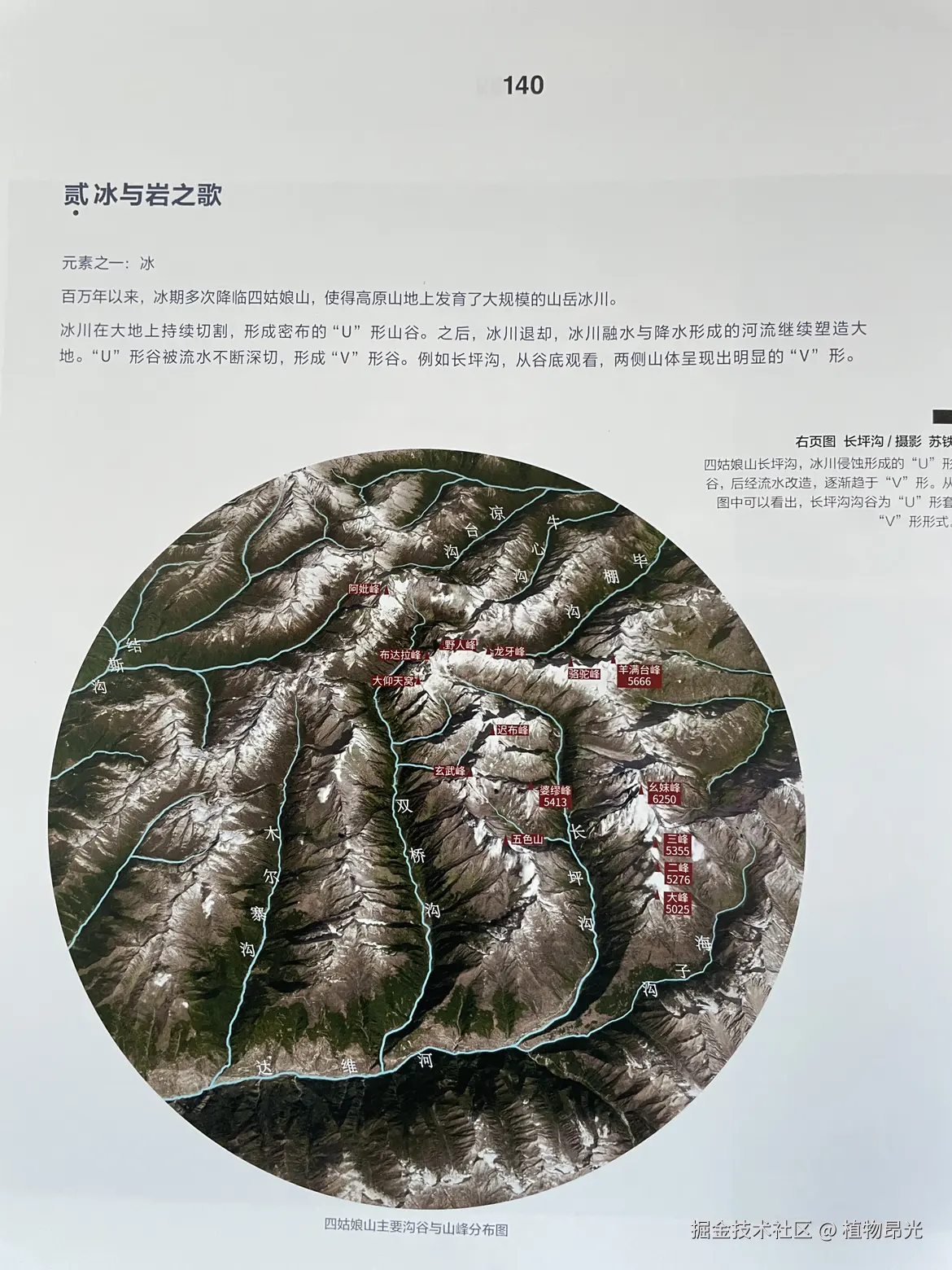 植物昂光于2026-03-14 12:18发布的图片