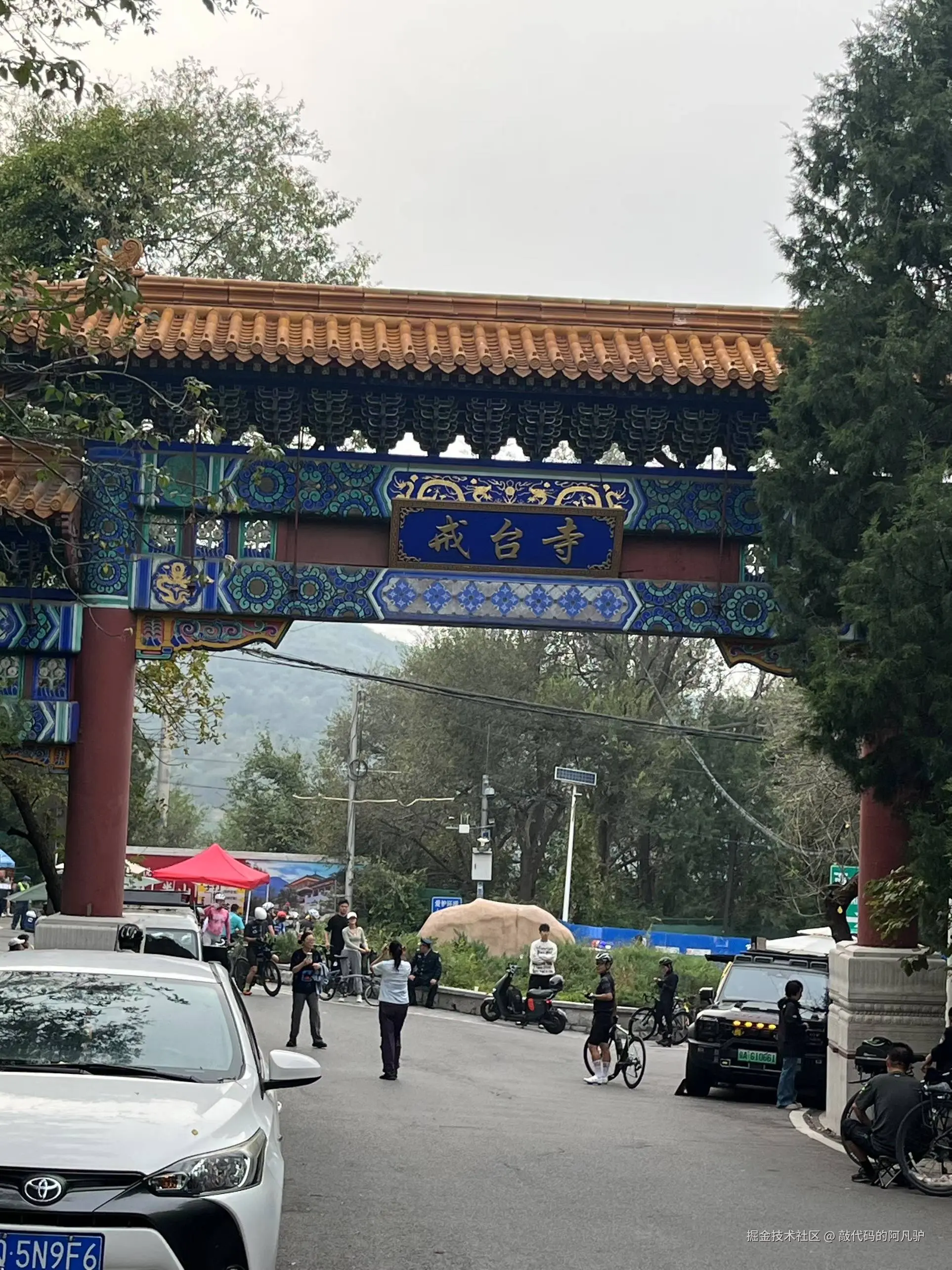 敲代码的阿凡驴于2025-09-28 11:08发布的图片