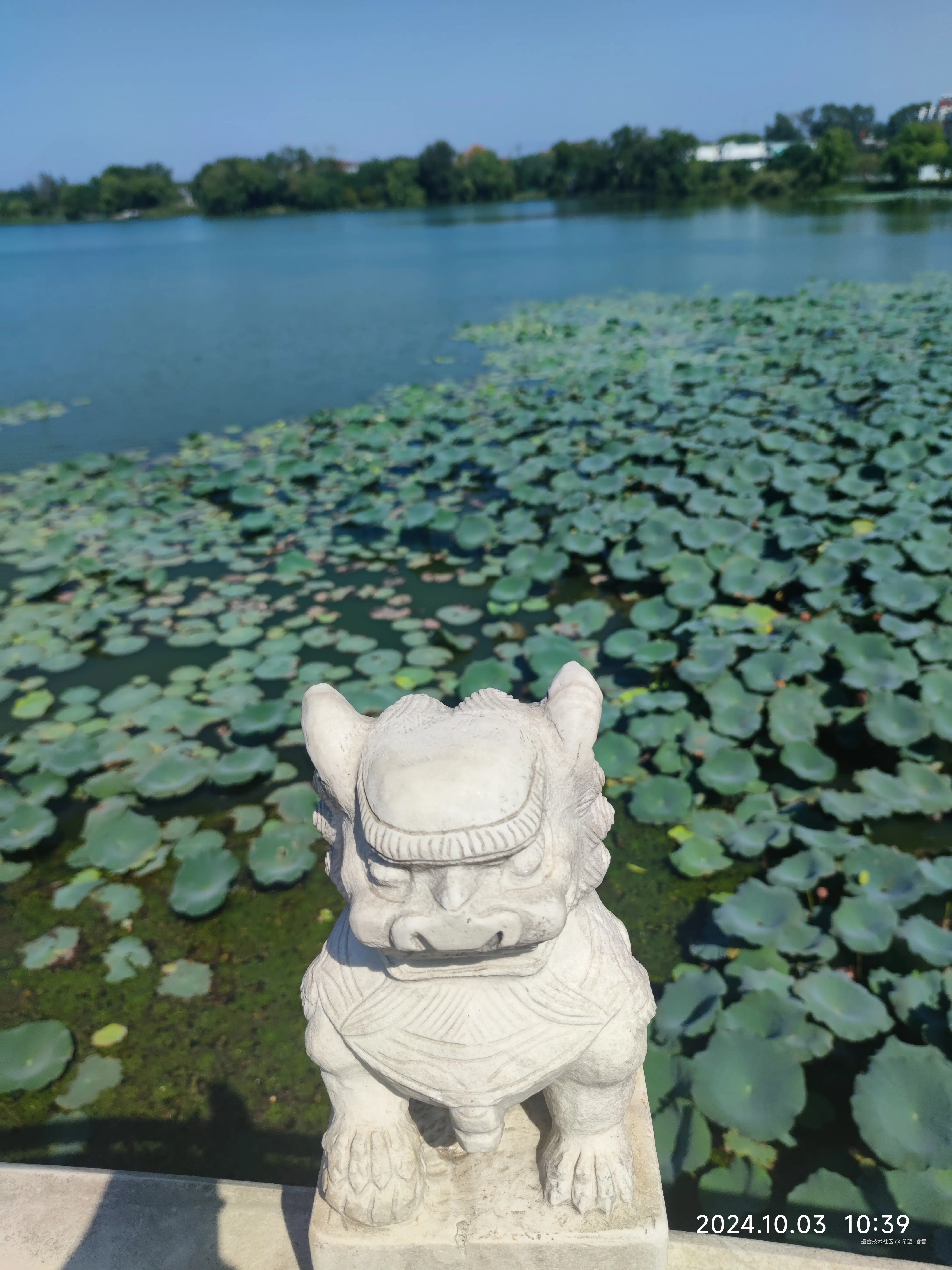 希望_睿智于2024-10-03 21:52发布的图片