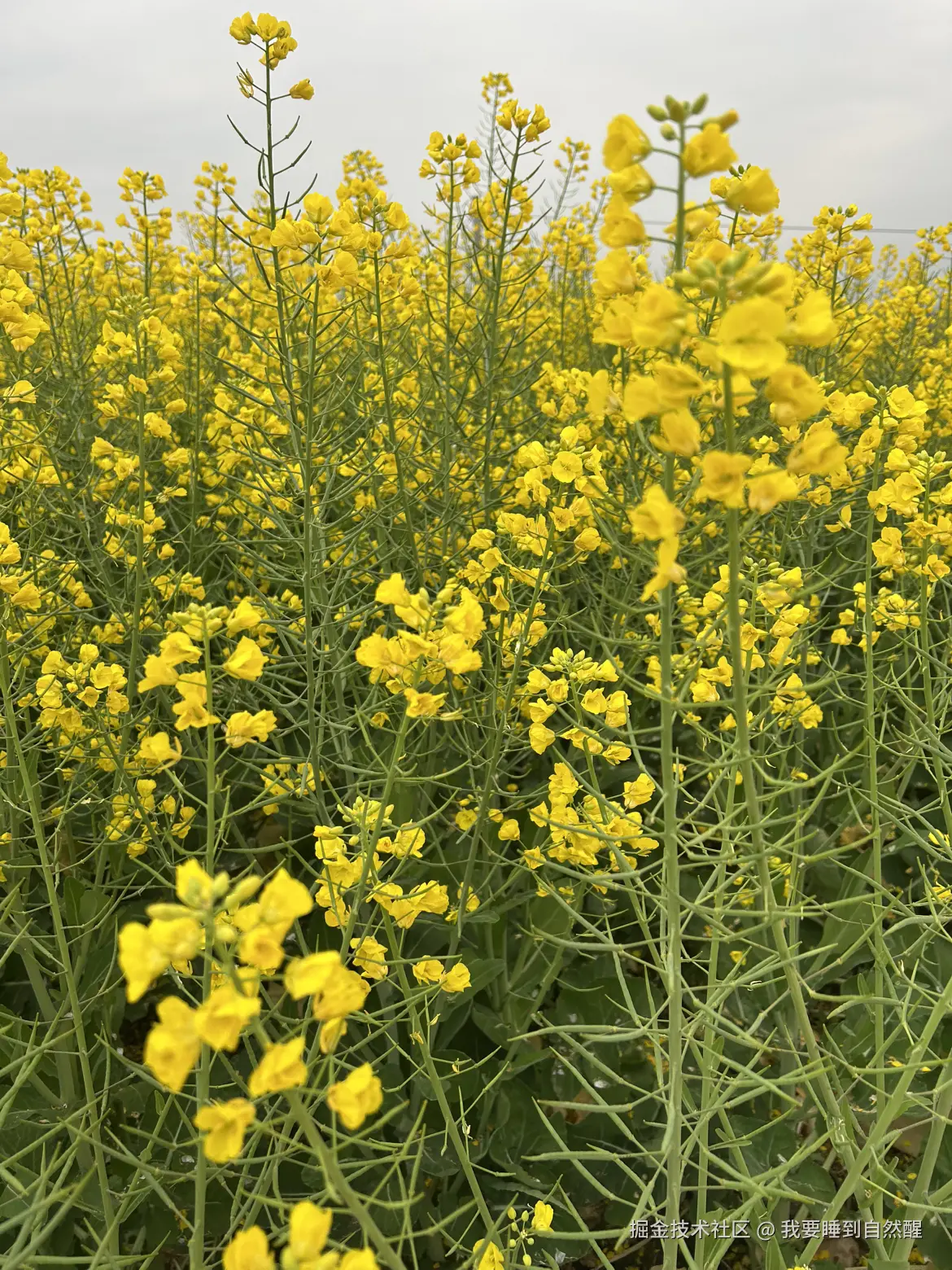 我要睡到自然醒于2026-02-16 23:28发布的图片