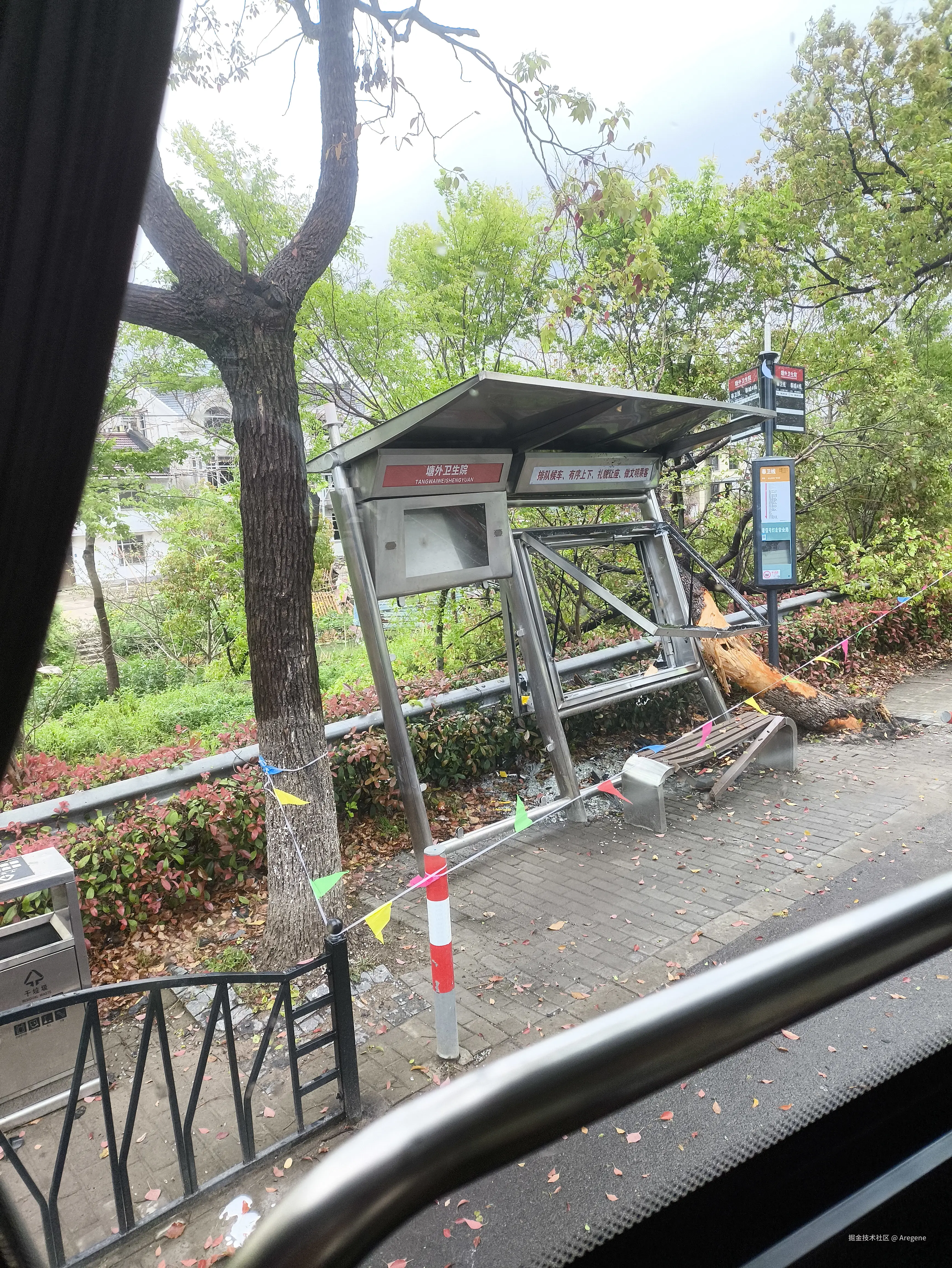 Aregene于2025-04-12 12:22发布的图片