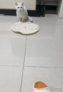 就爱吃火锅于2025-07-04 11:37发布的图片