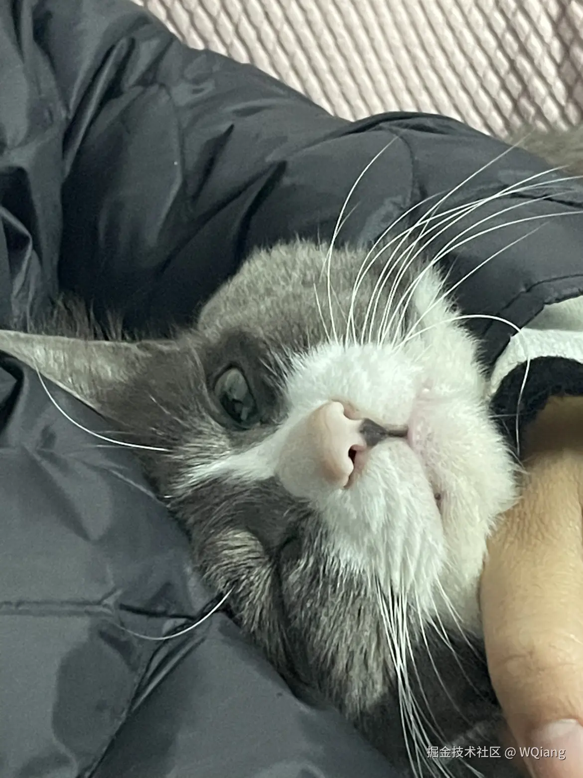 WQiang于2025-06-13 10:35发布的图片