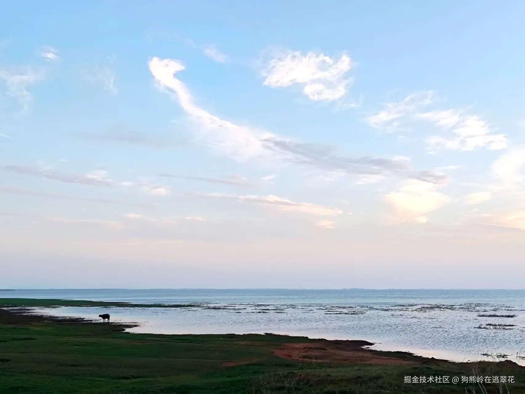 狗熊岭在逃翠花于2025-04-07 15:21发布的图片