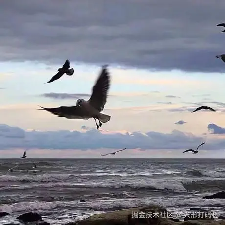 实战积累