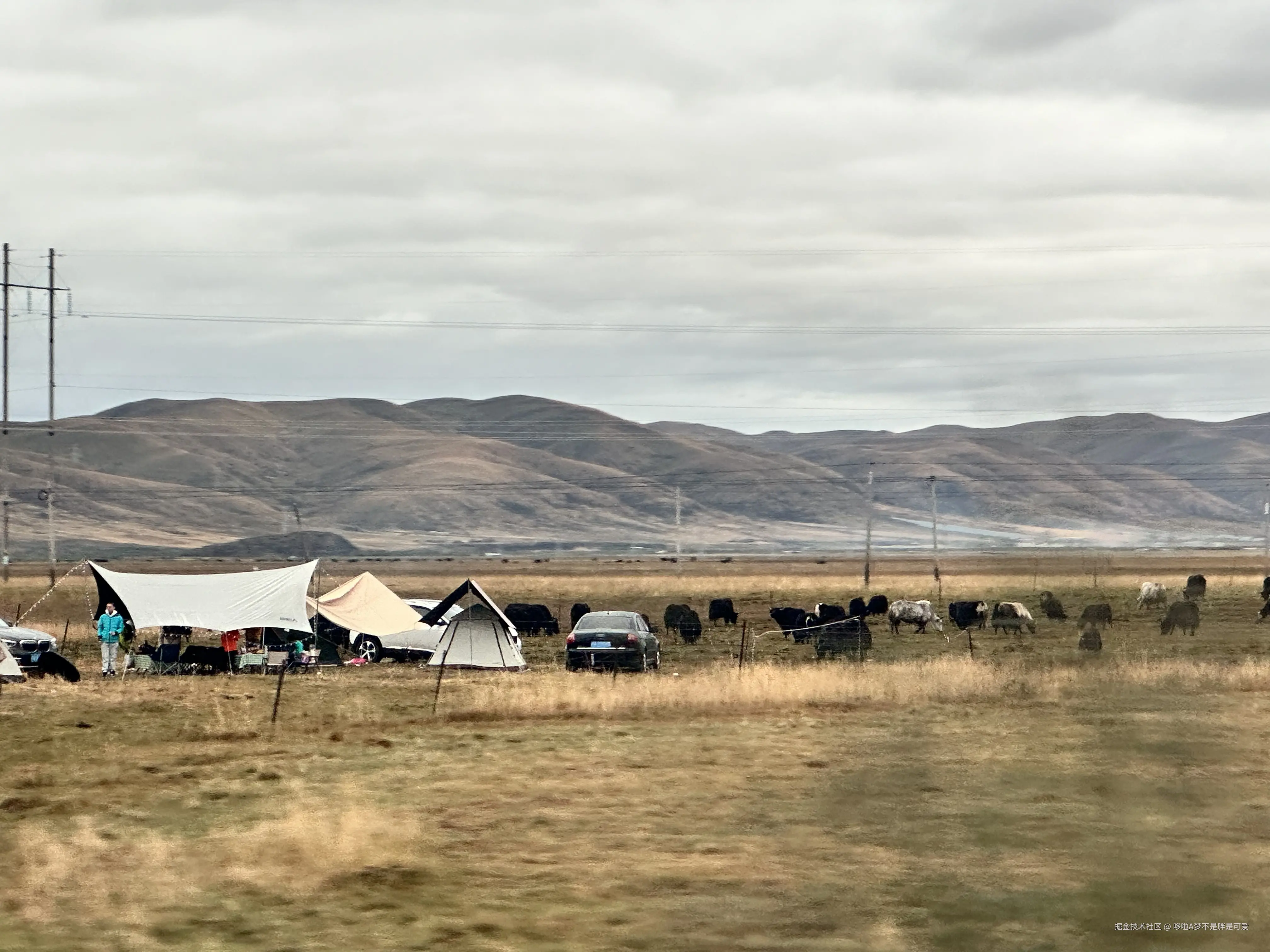 哆啦A梦不是胖是可爱于2024-10-08 15:36发布的图片