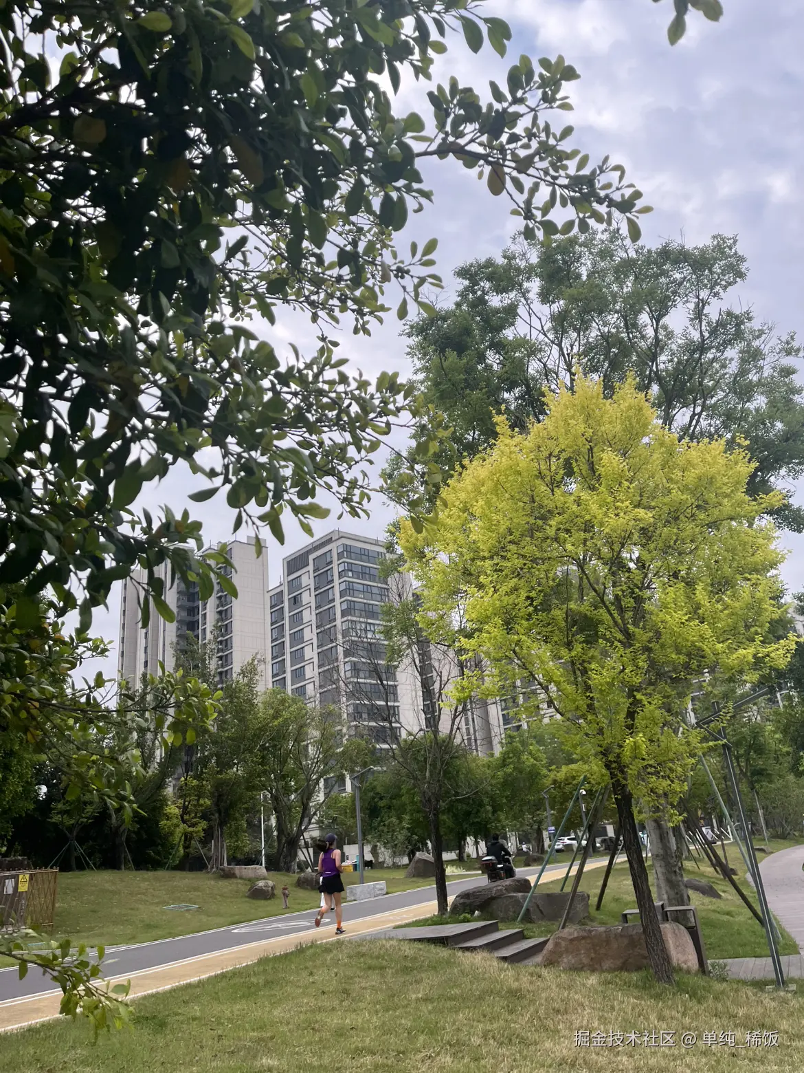 单纯_稀饭于2025-04-18 06:47发布的图片