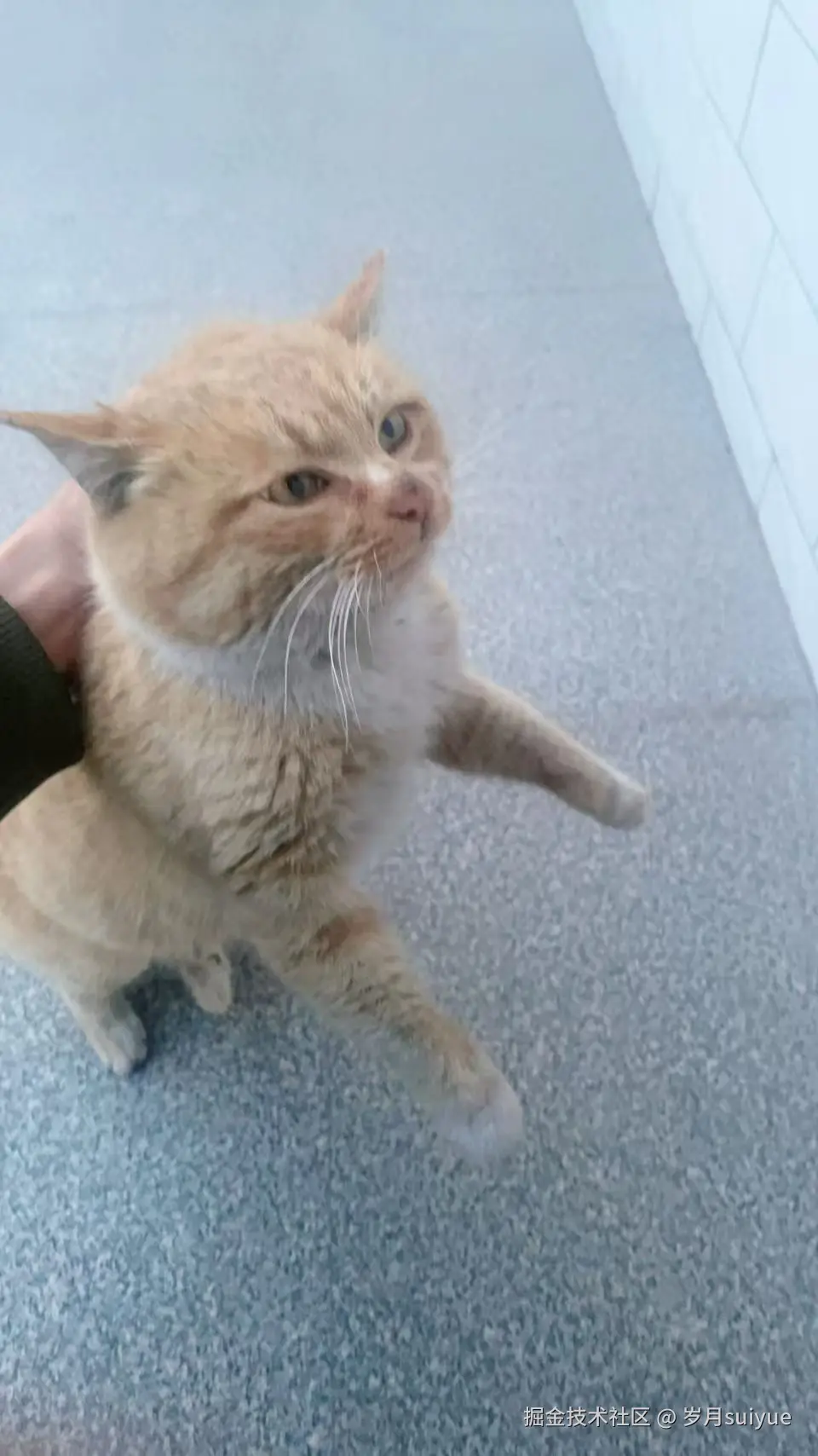 岁月suiyue于2025-02-08 10:59发布的图片