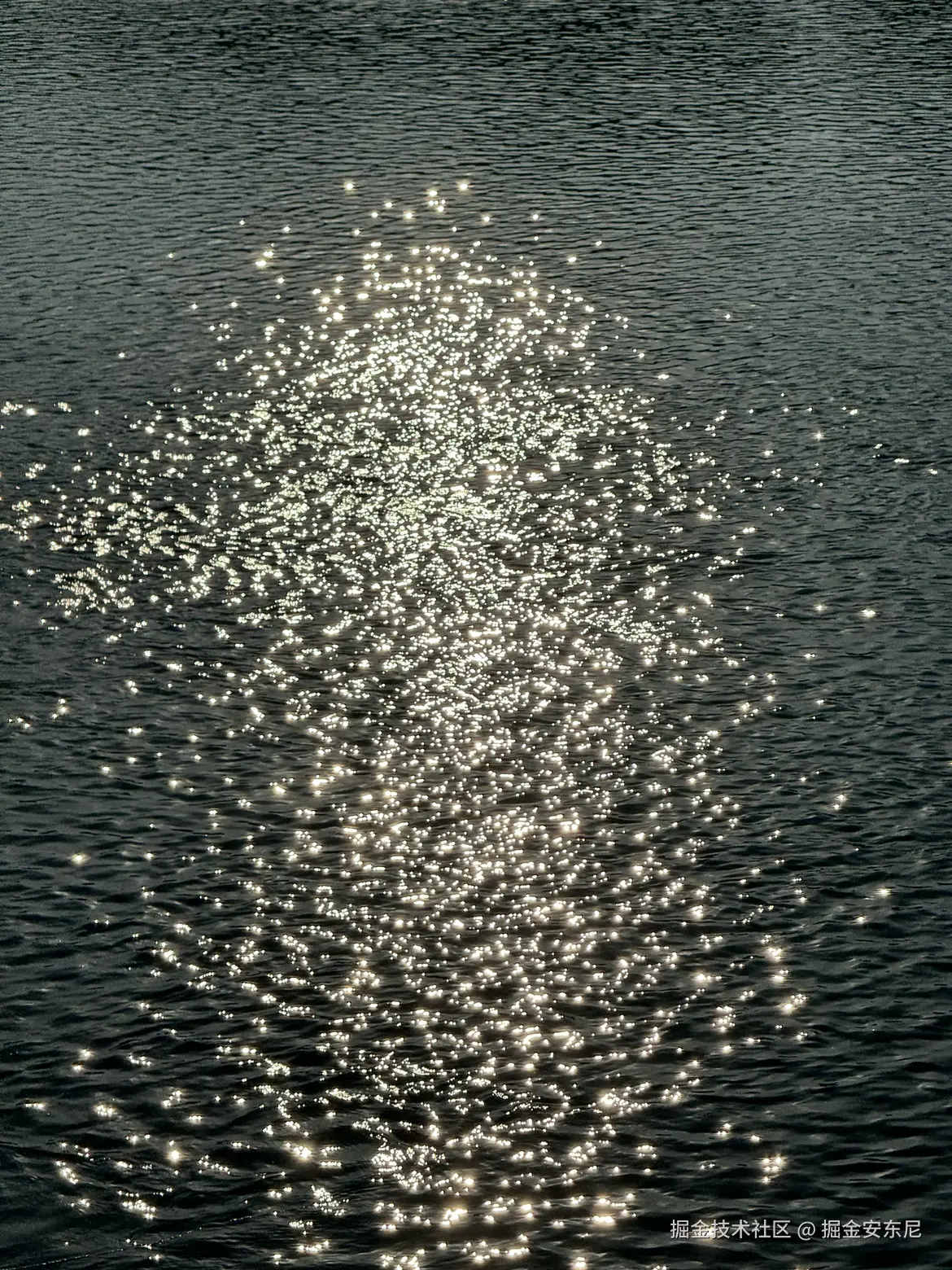 掘金安东尼于2024-08-03 21:01发布的图片