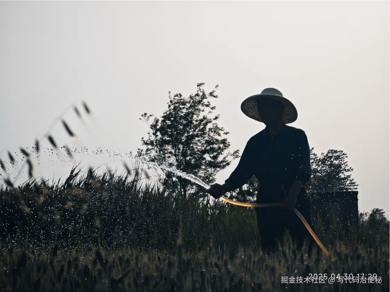 写代码治便秘于2025-05-07 10:57发布的图片