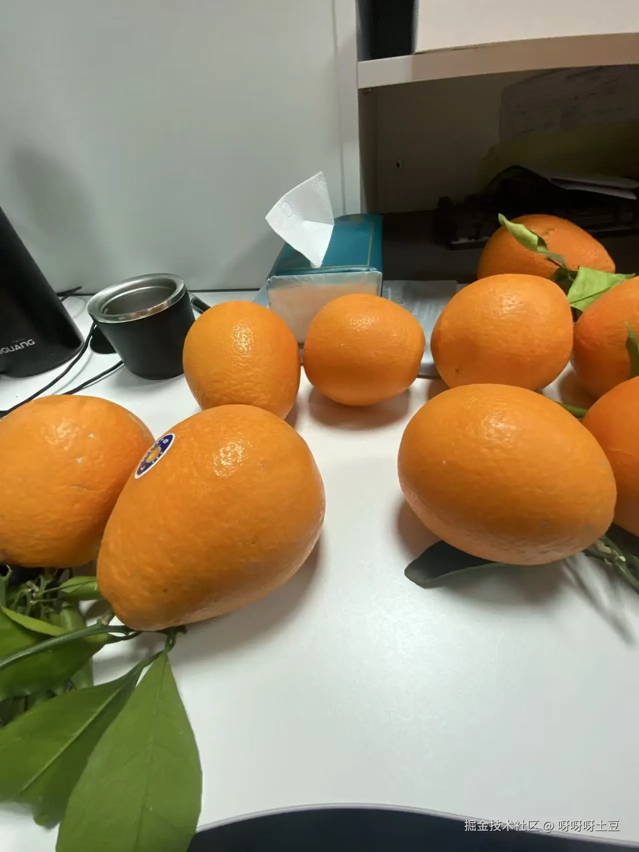 呀呀呀土豆于2026-01-05 17:00发布的图片