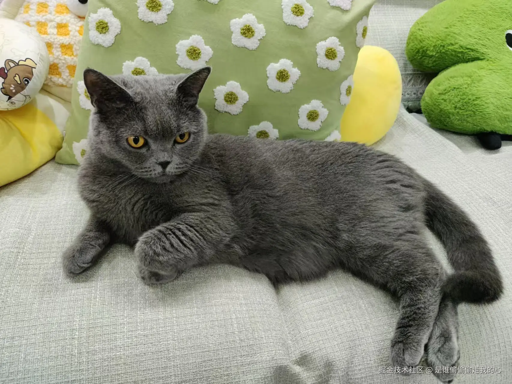 是谁偷偷偷走我的心于2024-12-10 10:13发布的图片