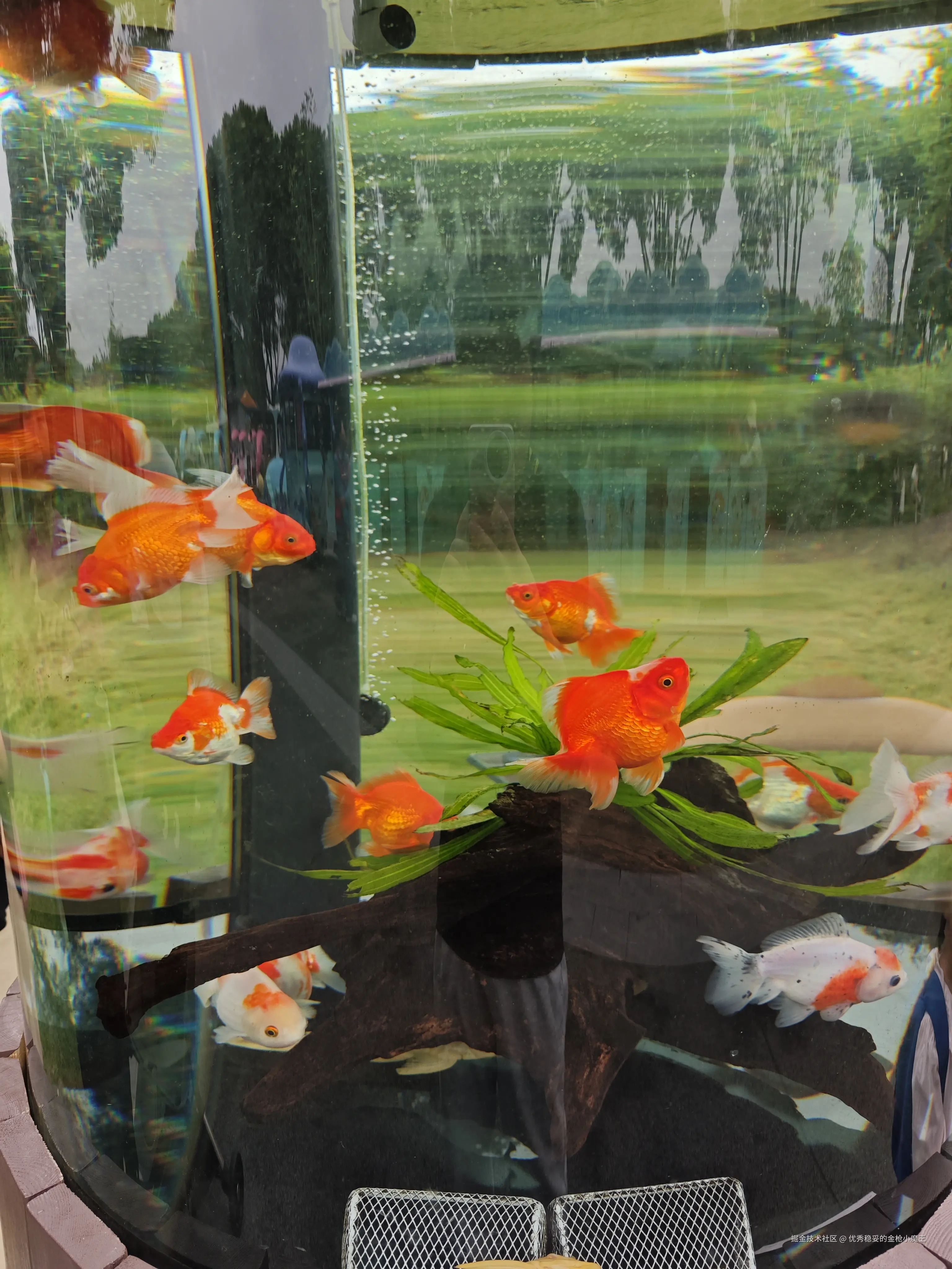 优秀稳妥的金枪小魔王于2025-09-23 09:57发布的图片