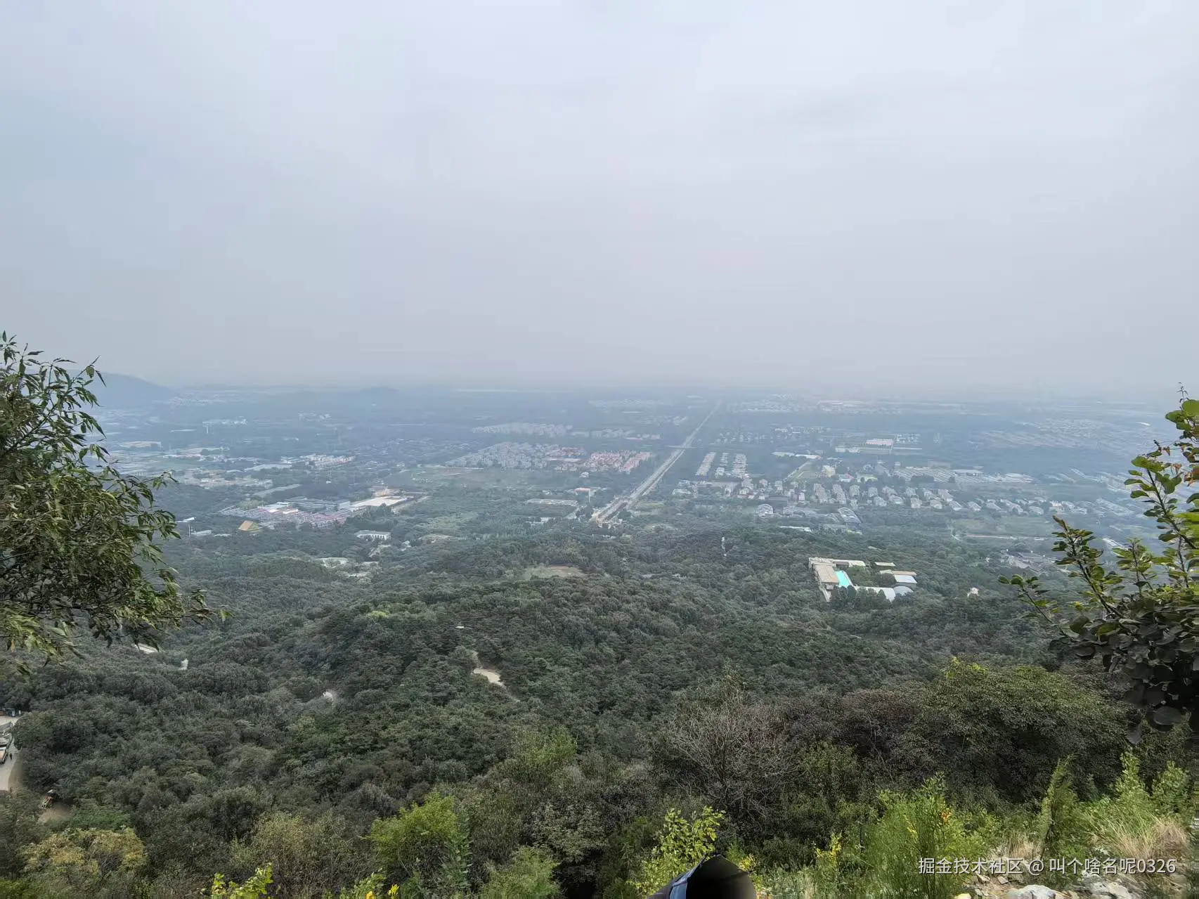 叫个啥名呢0326于2025-09-30 10:10发布的图片