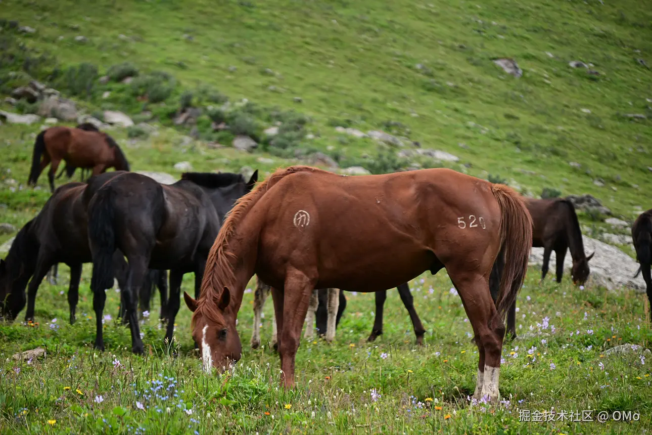 OMo于2026-01-23 09:58发布的图片