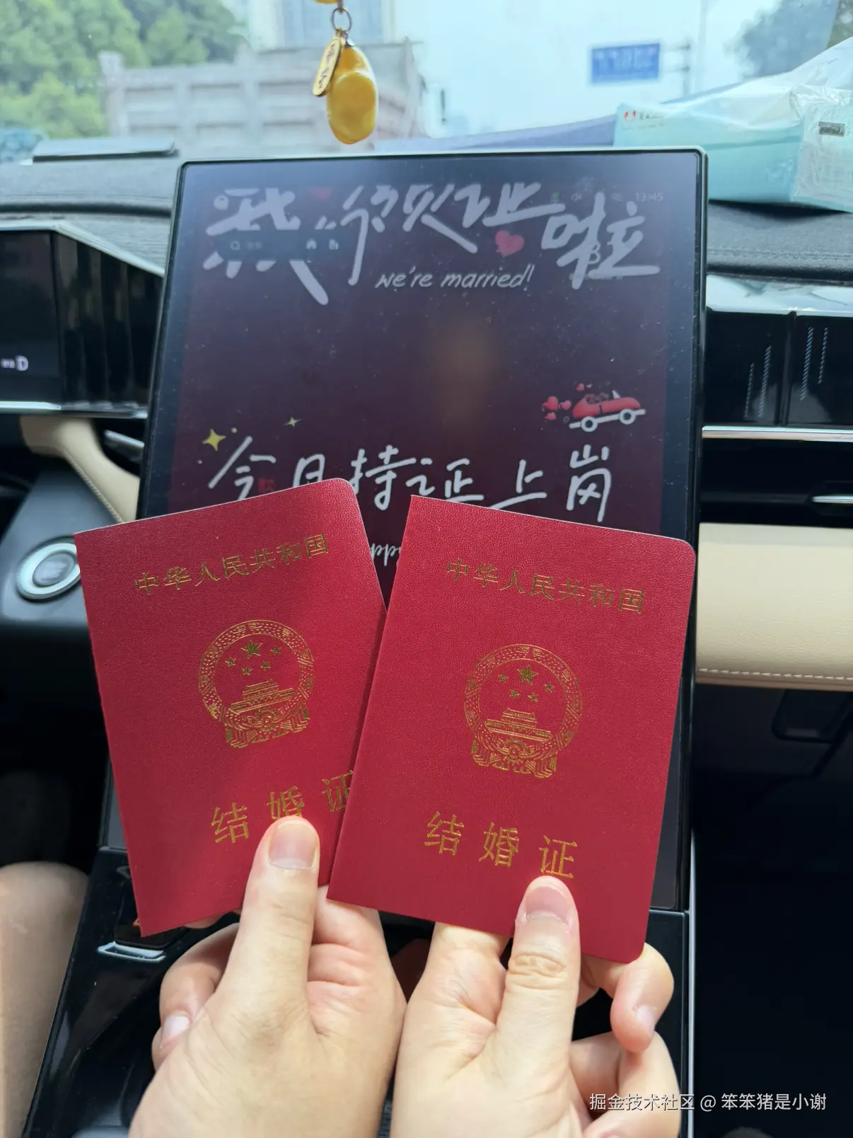 笨笨猪是小谢于2026-08-18 06:23发布的图片