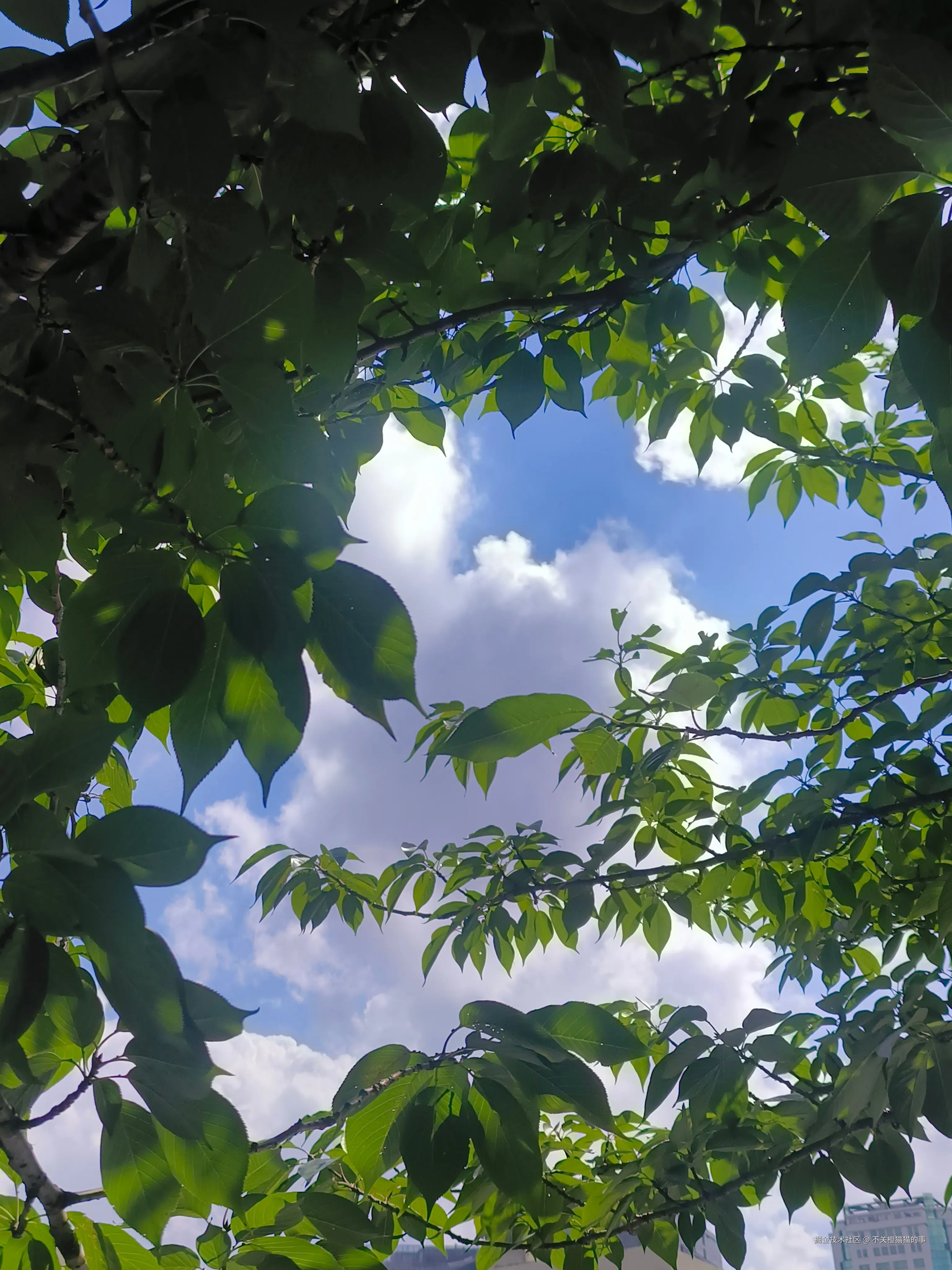 不关橙猫猫的事于2025-07-24 11:35发布的图片