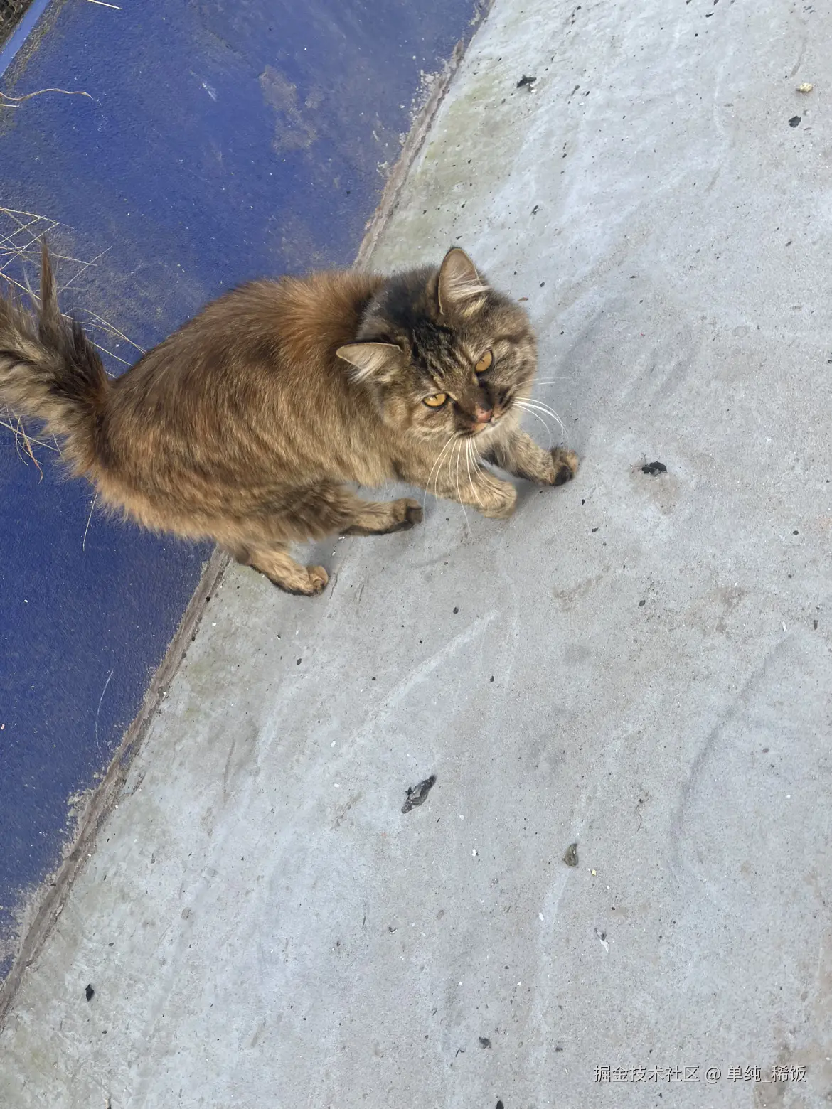 单纯_稀饭于2025-11-21 09:31发布的图片