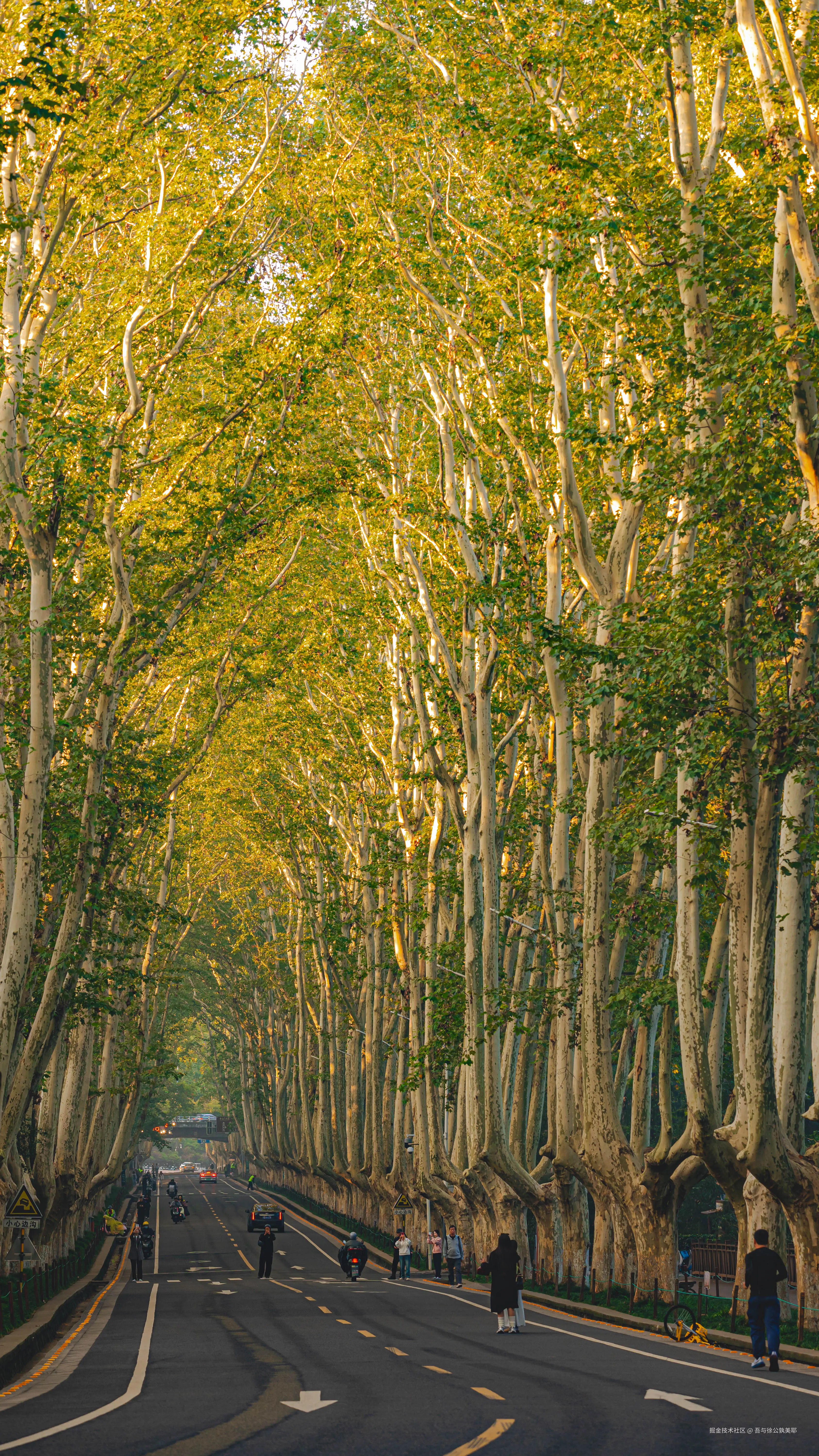 吾与徐公孰美耶于2024-11-05 10:05发布的图片