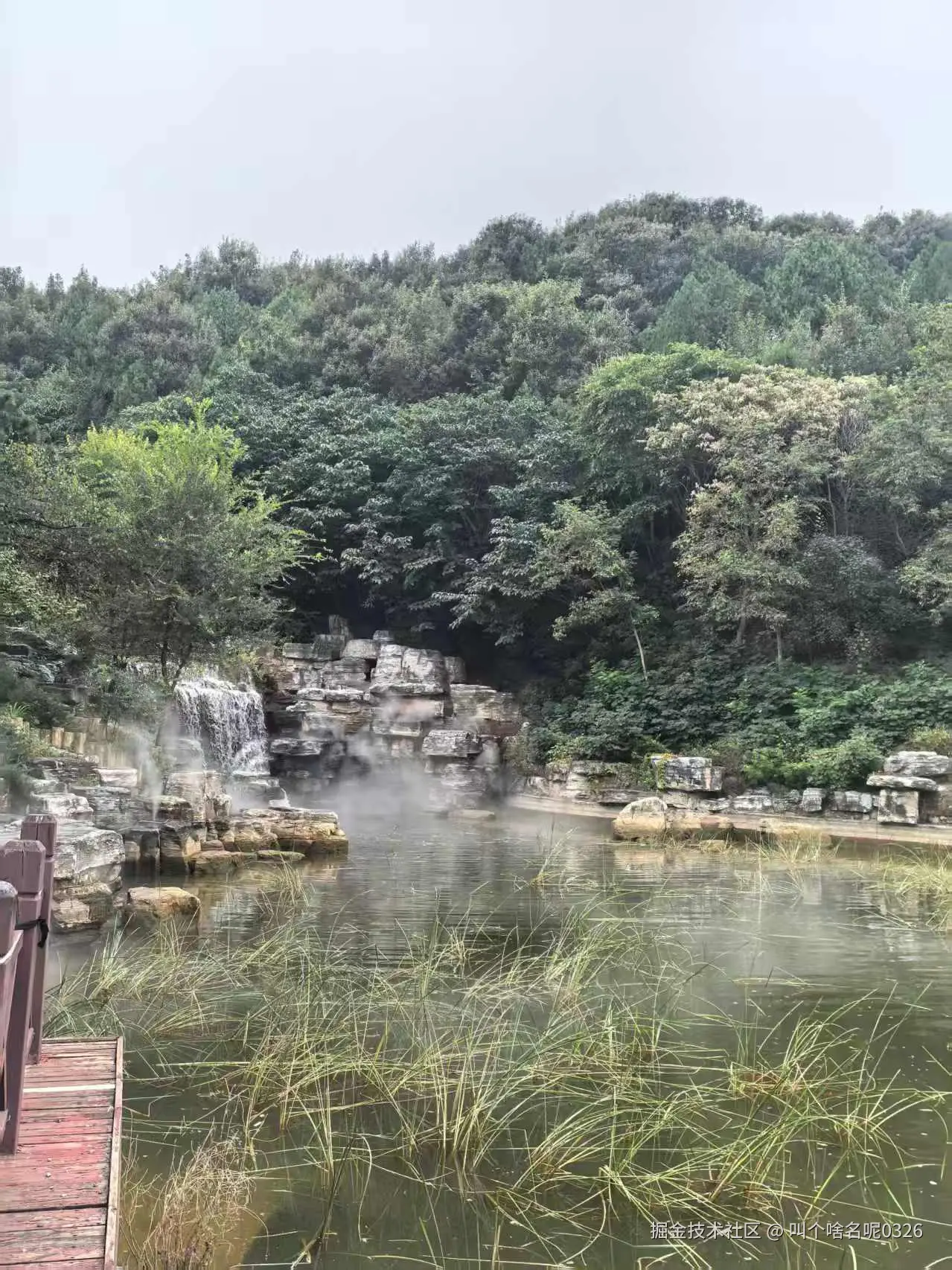 叫个啥名呢0326于2025-09-30 10:10发布的图片