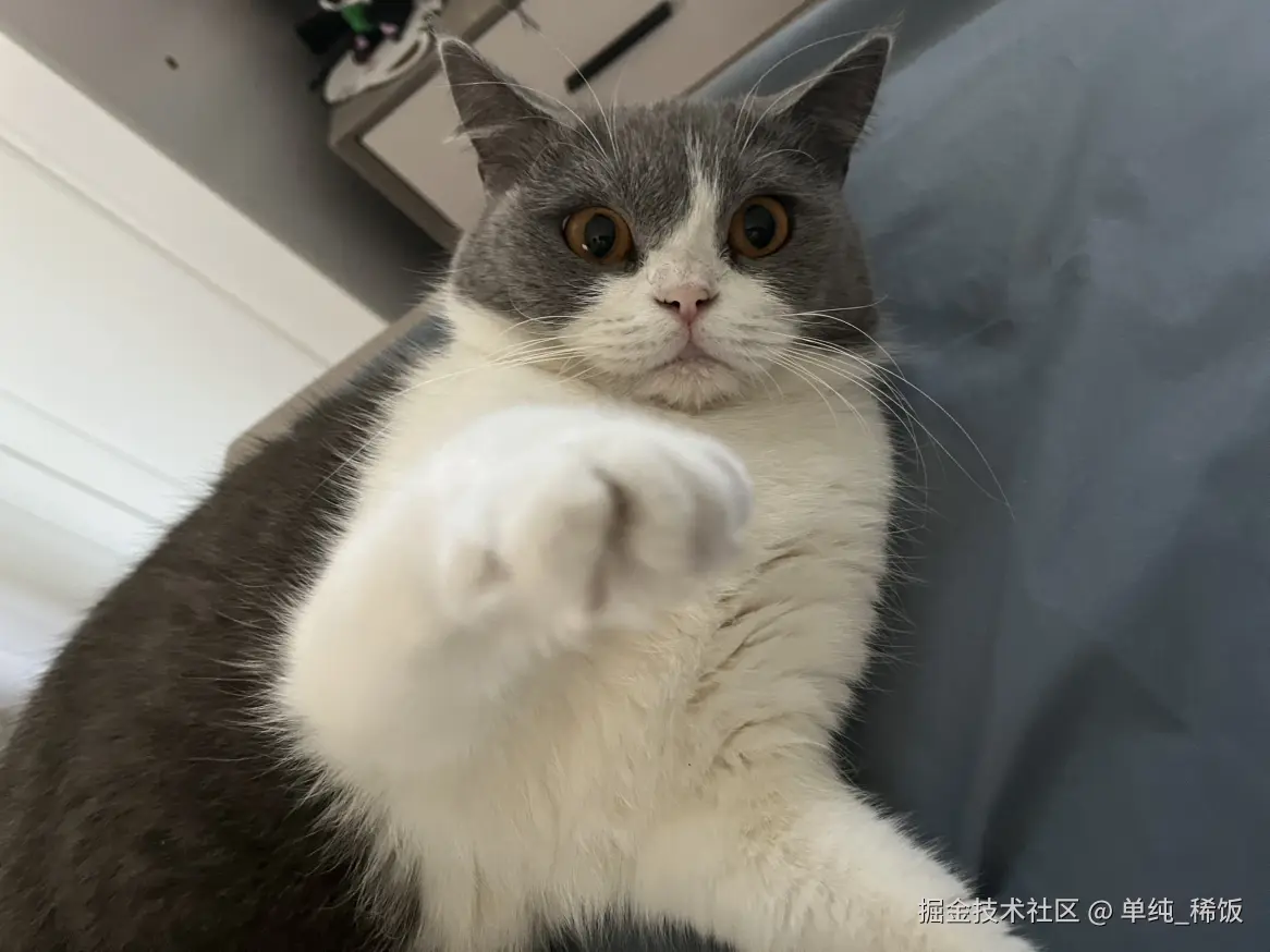 单纯_稀饭于2024-11-28 10:20发布的图片