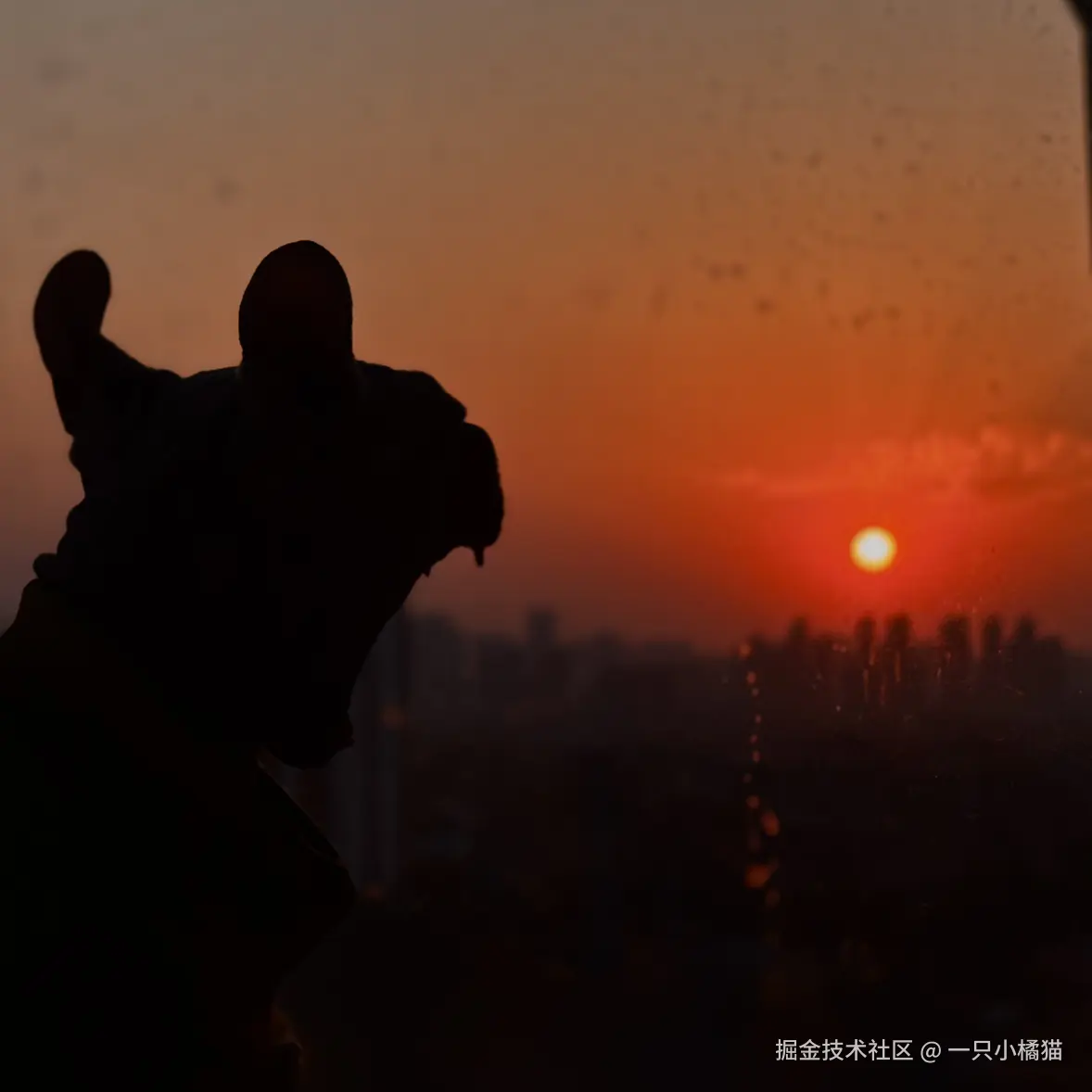 一只小橘猫于2025-10-23 10:00发布的图片