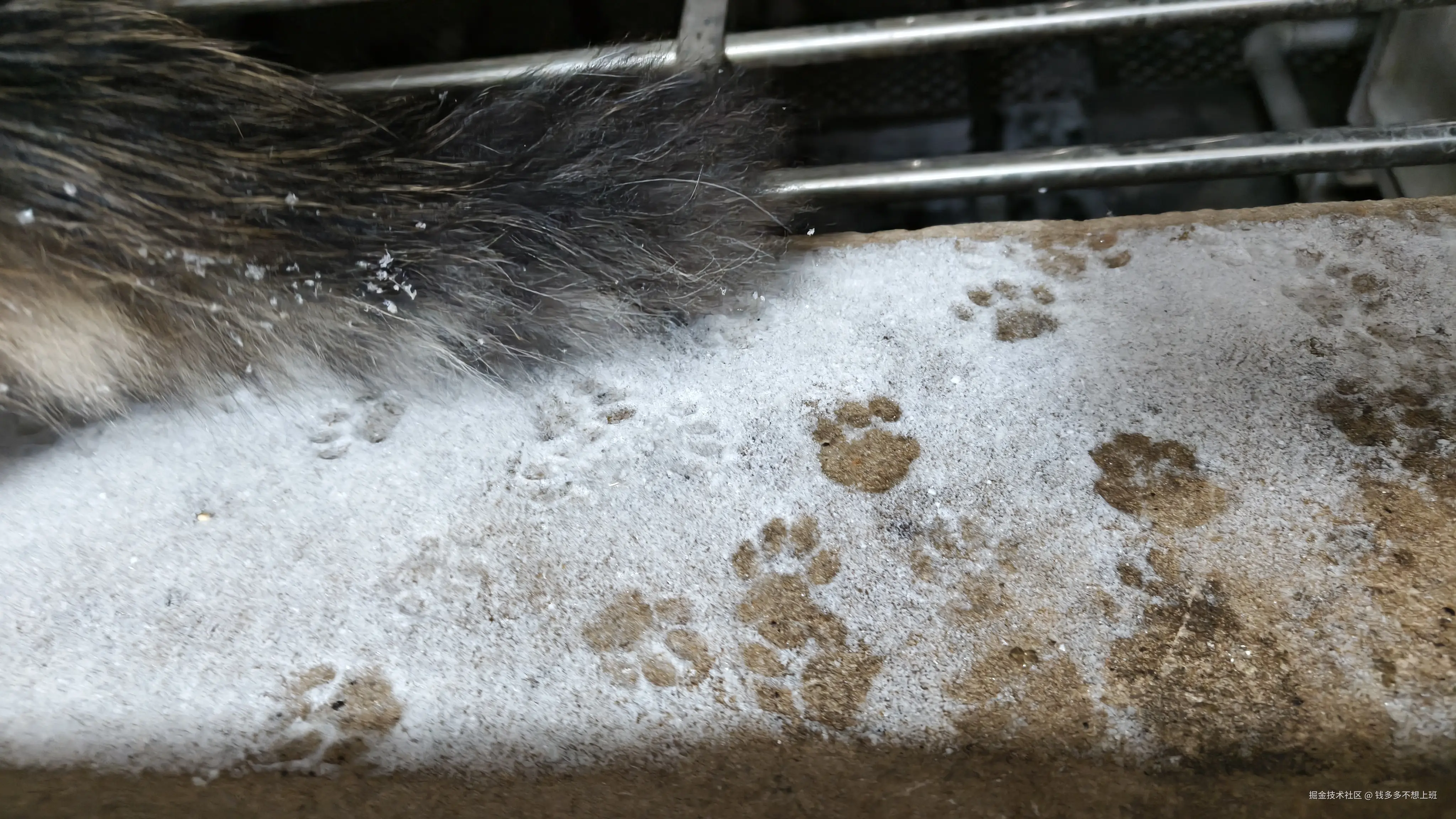 钱多多不想上班于2026-01-21 10:58发布的图片