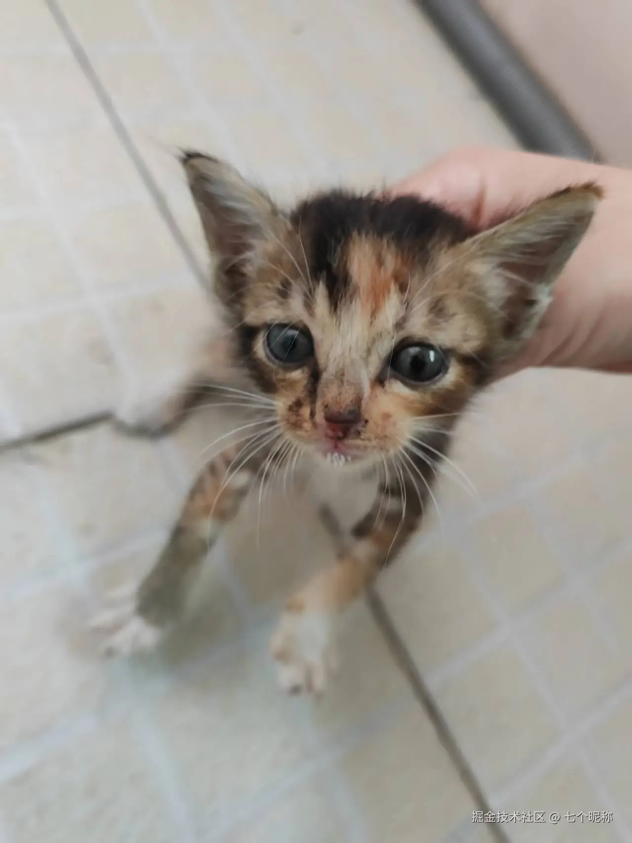 七个昵称于2025-07-07 09:08发布的图片