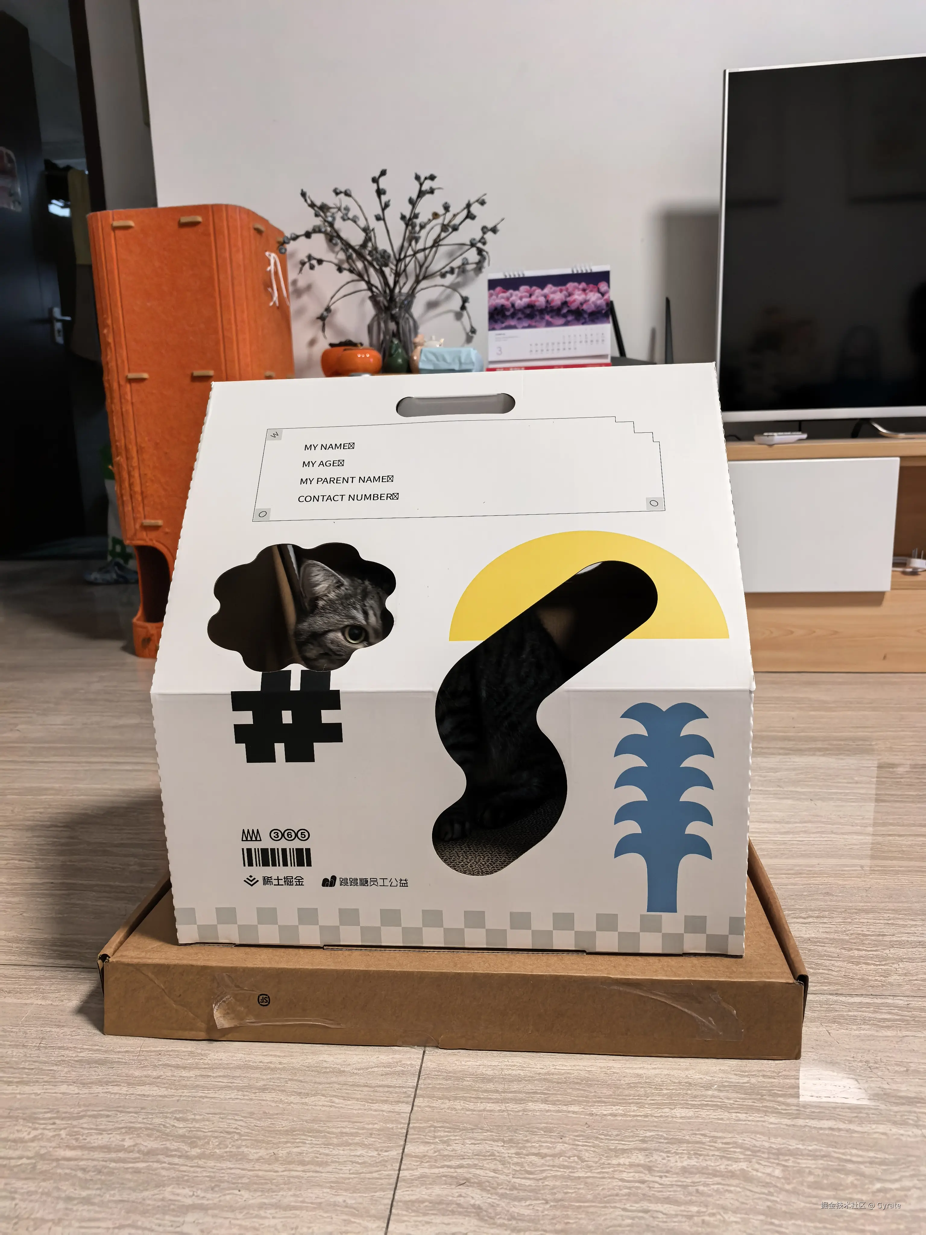 Gyrate于2026-03-11 22:23发布的图片