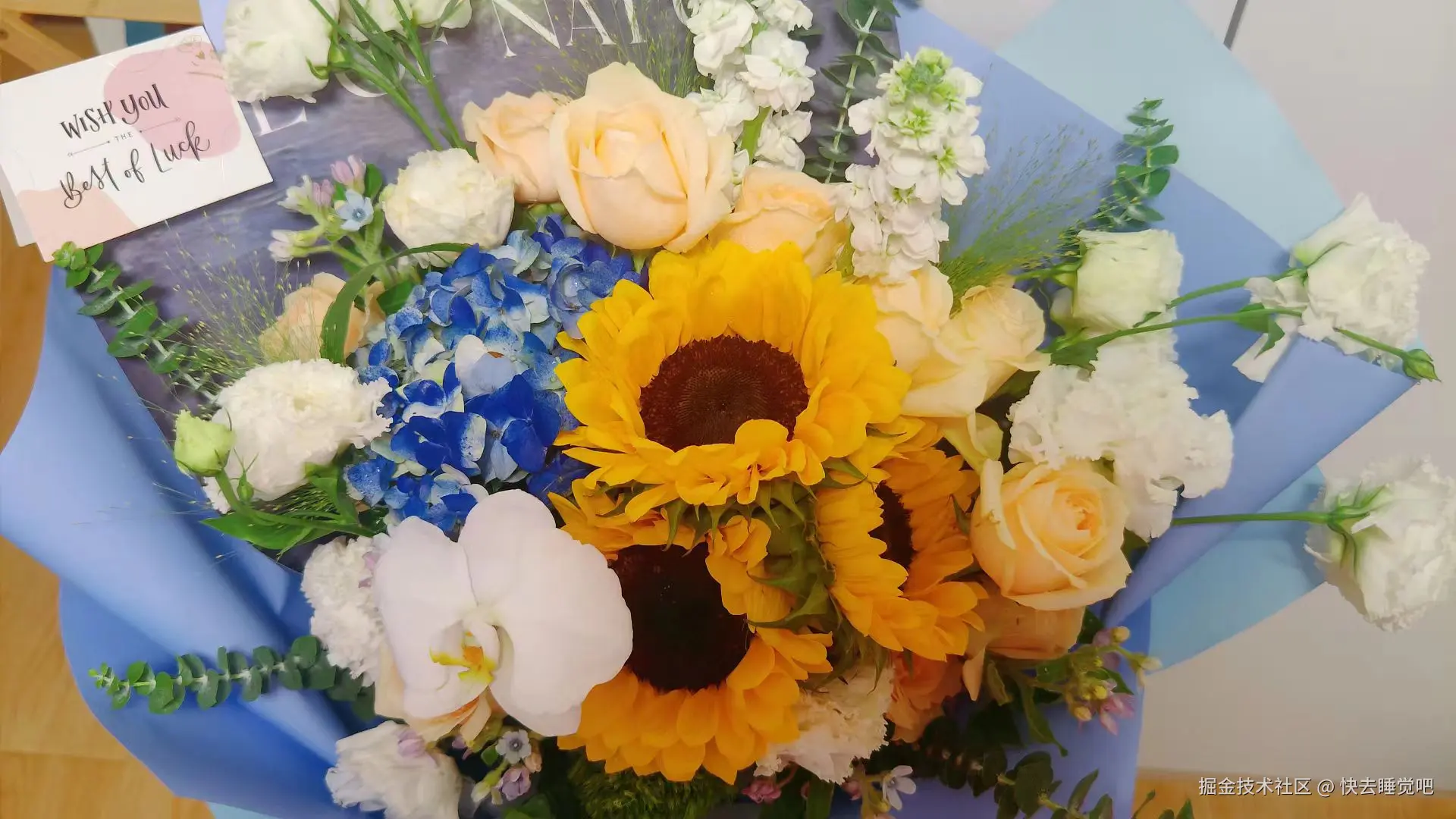 快去睡觉吧于2024-08-12 09:39发布的图片