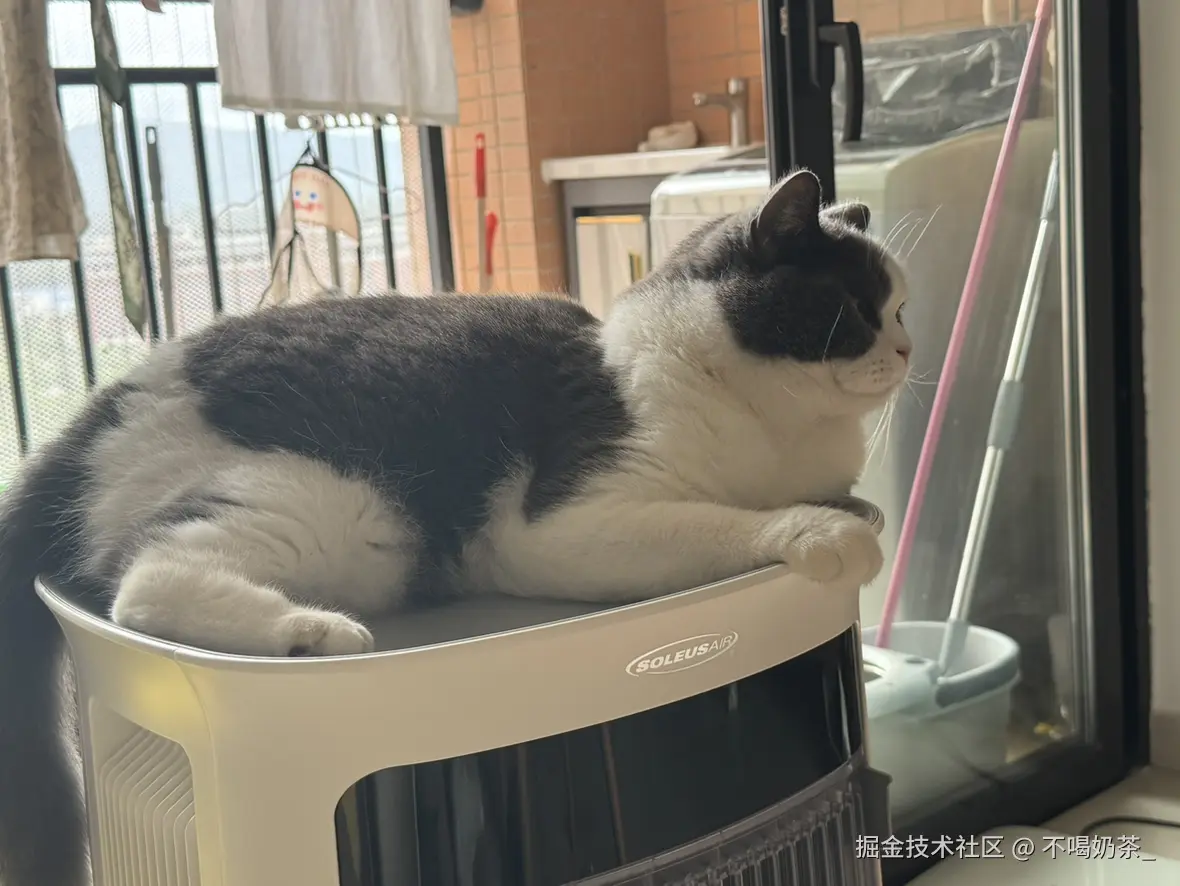 不喝奶茶_于2025-07-14 14:13发布的图片